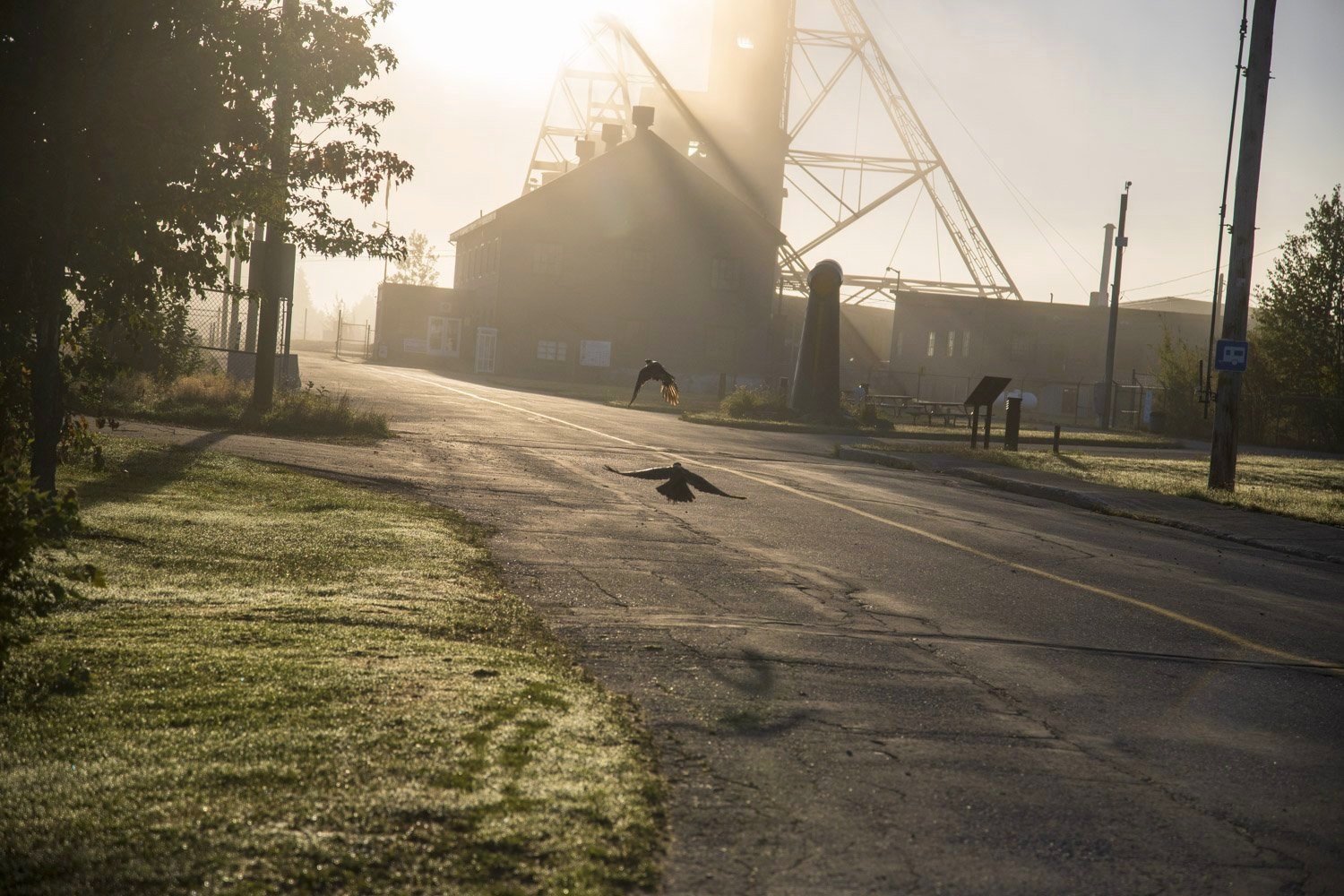  A pair of crows fly towards the entrance of the former Lamaque gold mine. 87 years ago, hundreds of miners walked this entrance to work and support their families who lived in the company town located next door in the village of Bourlamaque. In oper