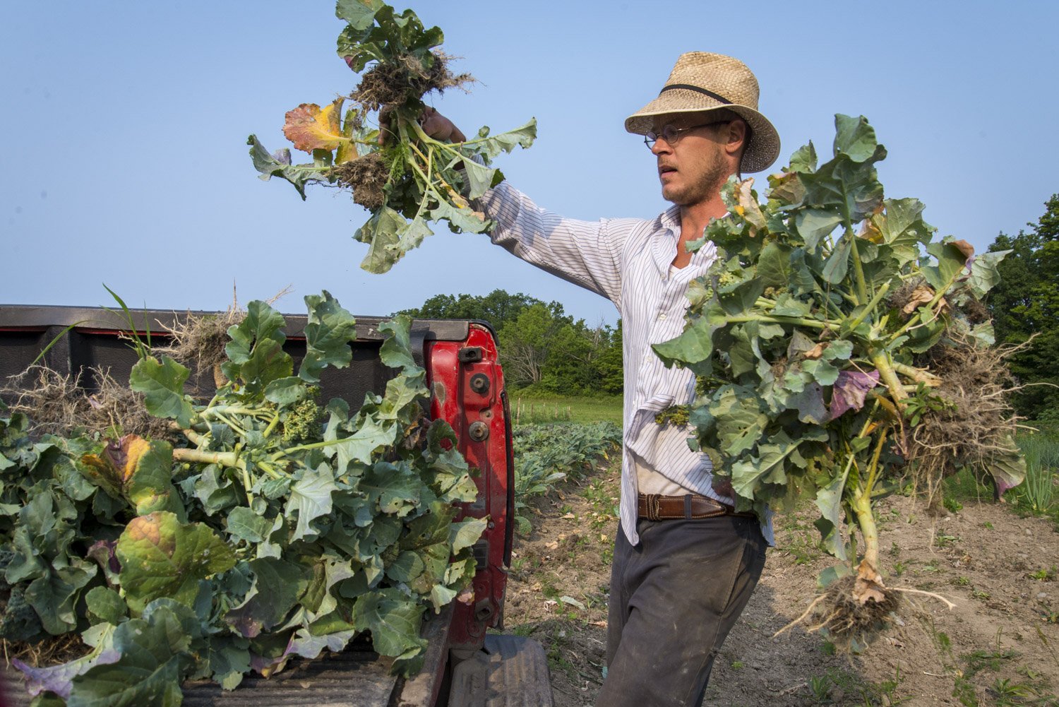 Young Farmers_15_DSC5095final_web.jpg