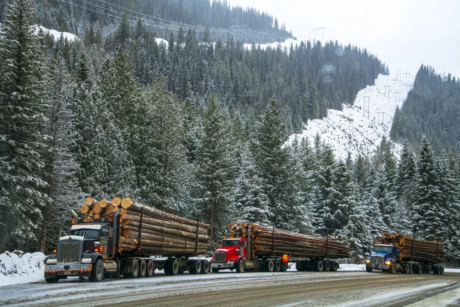  Monashee Pass, BC 