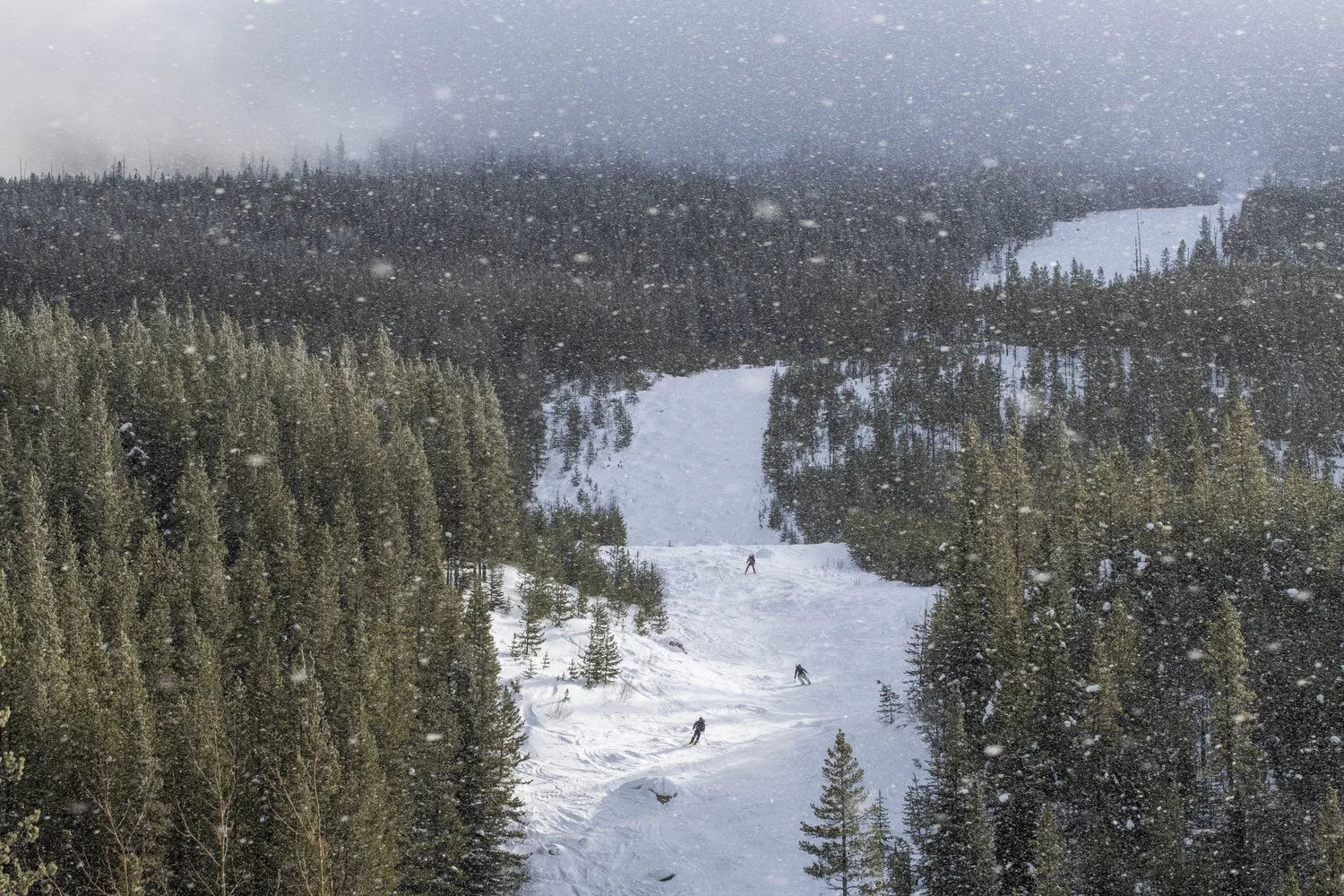  North of Vermillion Pass, BC 