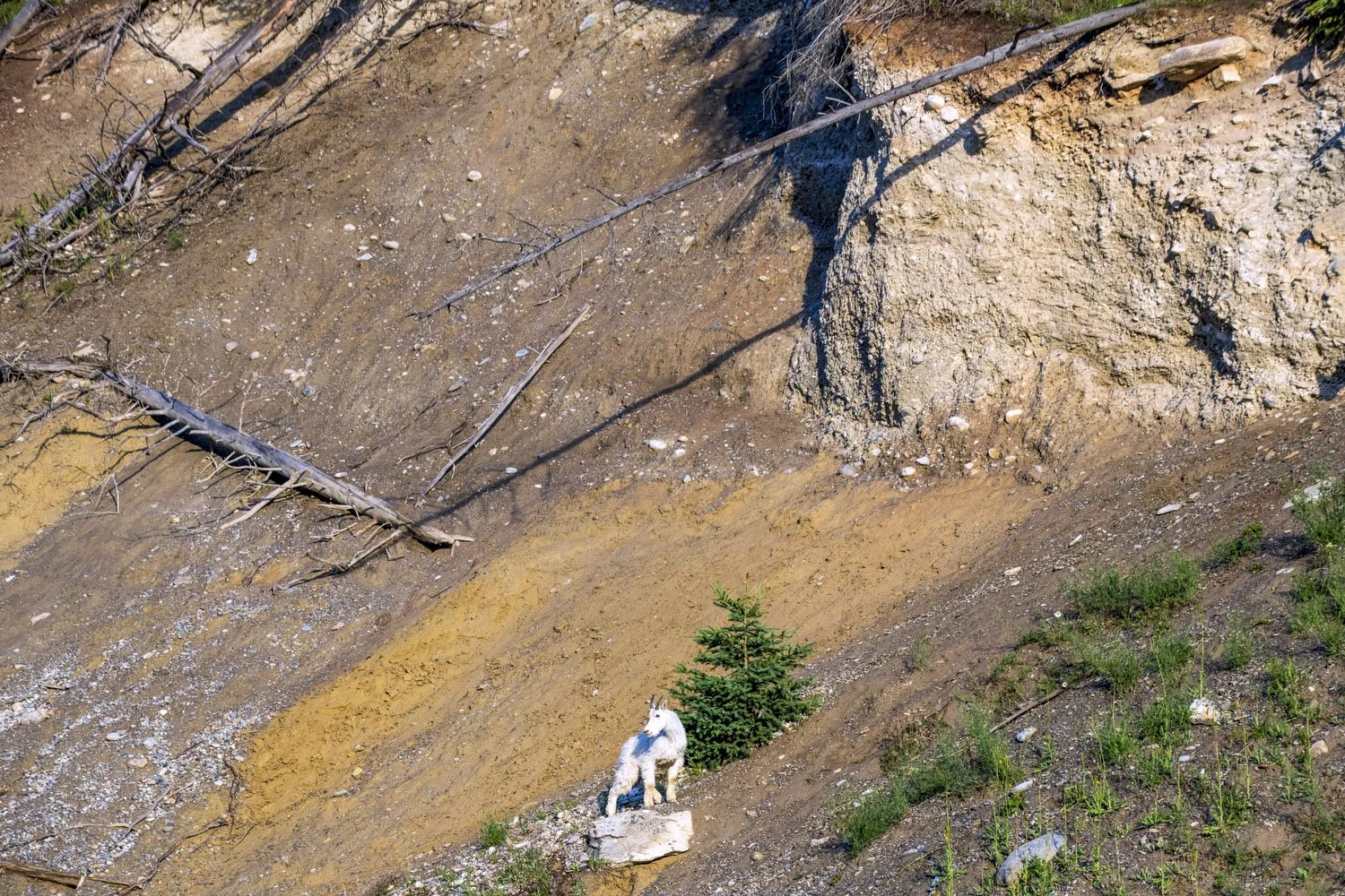  Sinclair Pass, BC 