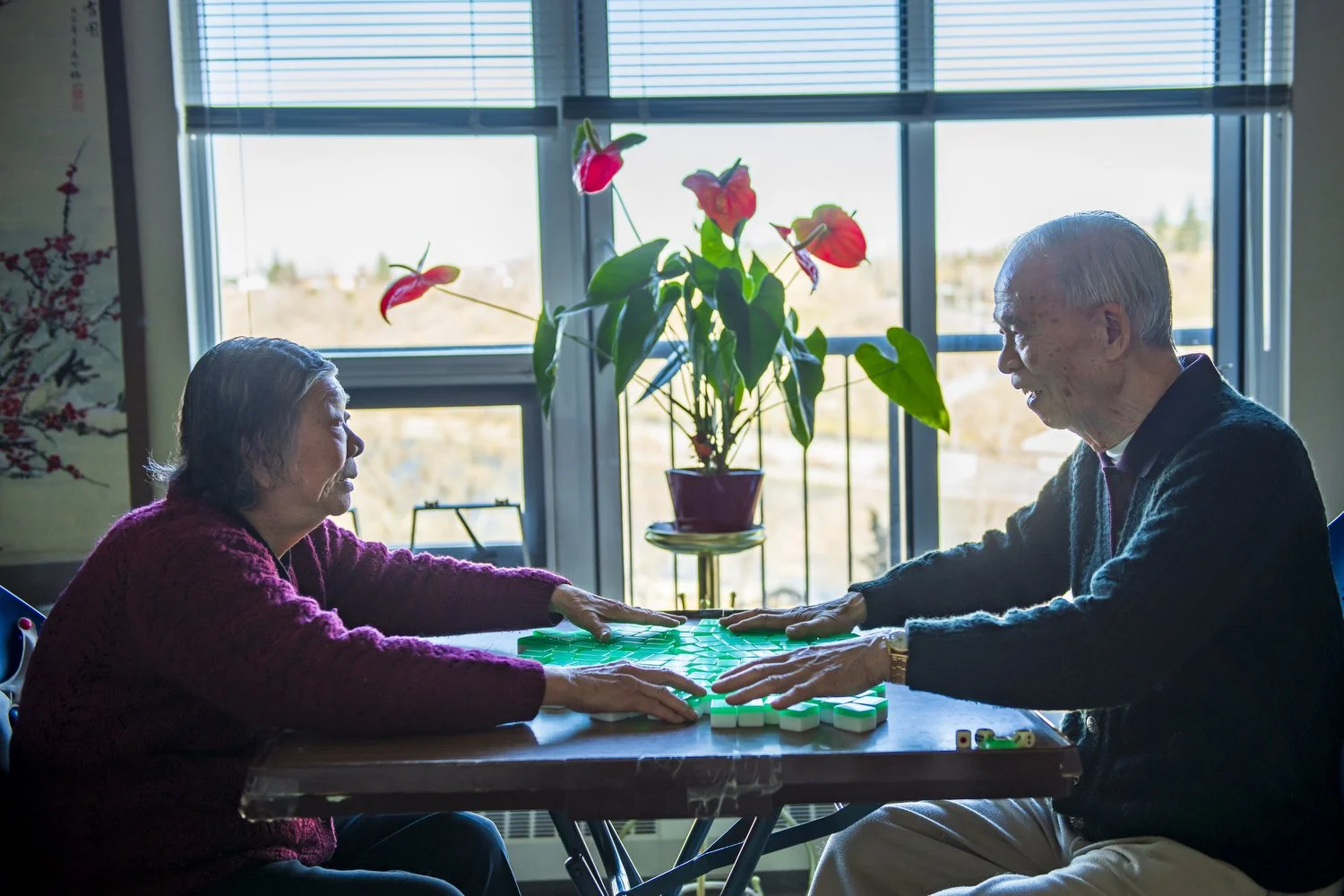  Everyday, Mr. and Ms. Fok play mahjong in their condo apartment located in Chinatown. Married in 1950 in Hong Kong, they retired and immigrated to Calgary in the early 1990s. Many Chinese immigrants choose Canada for its overall quality of life. In 