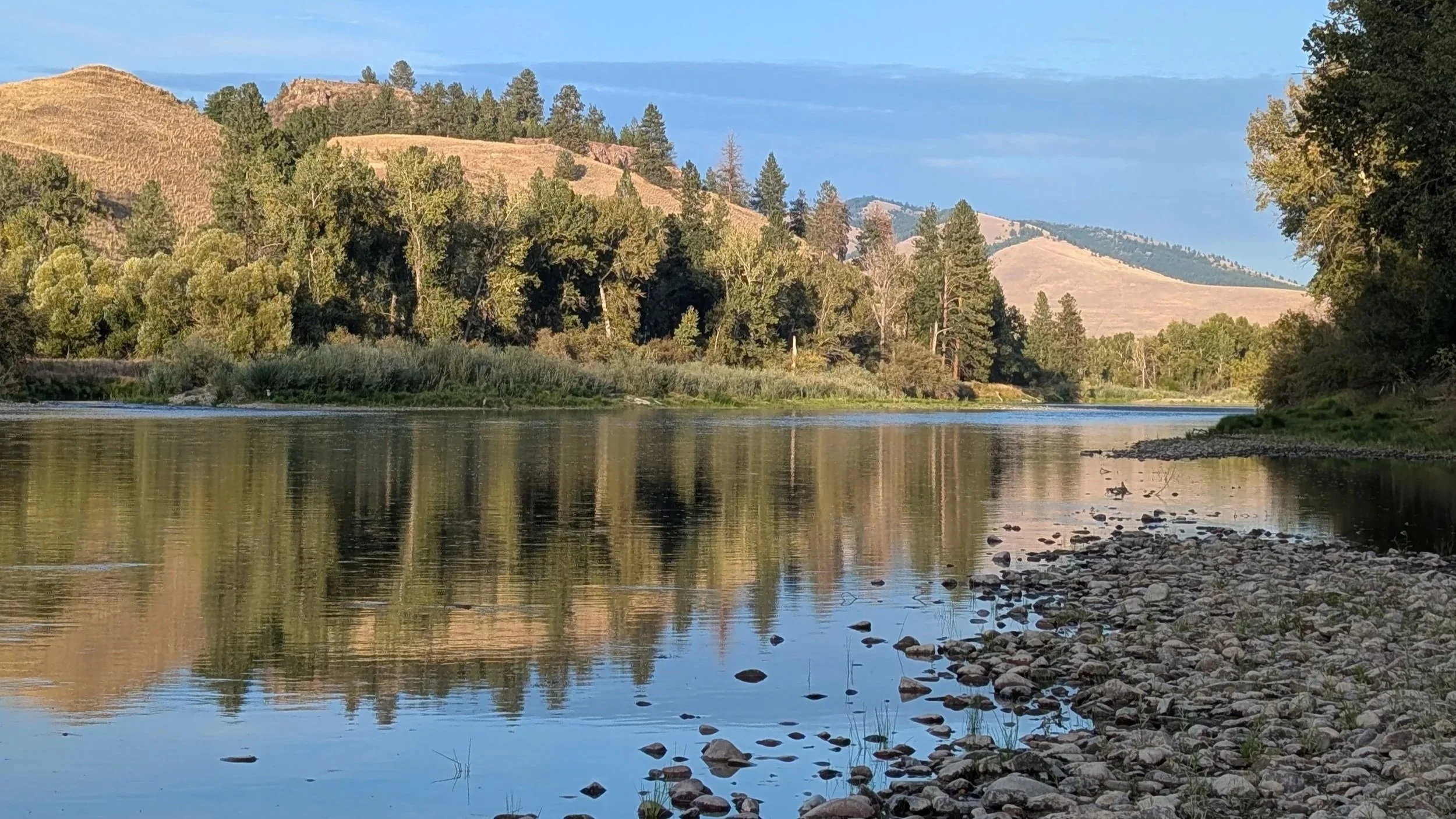 The River