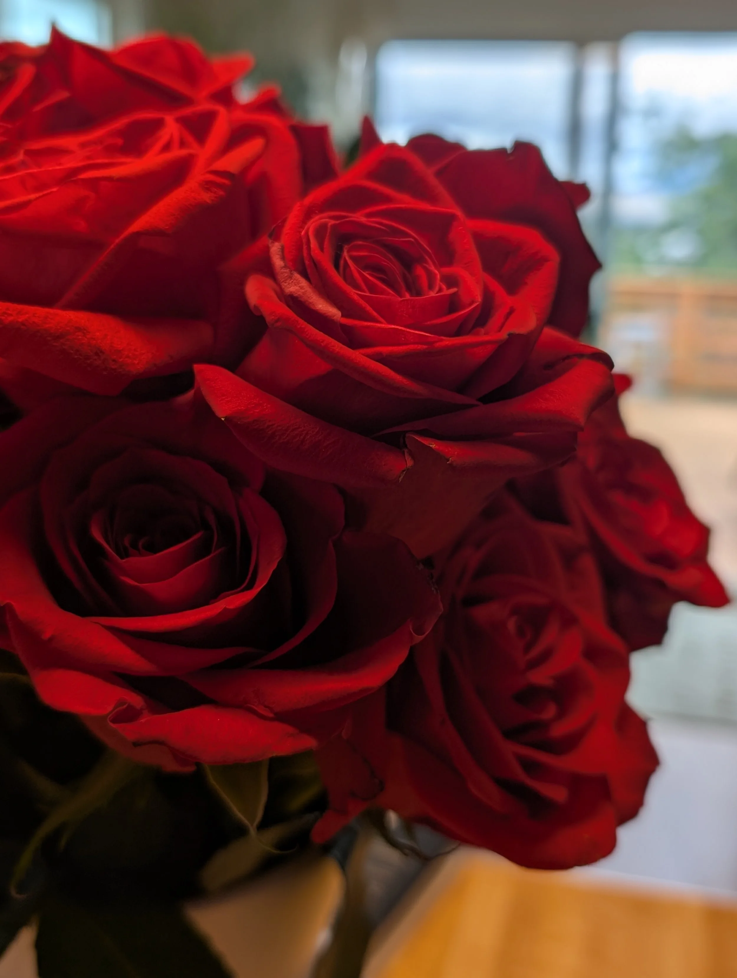 roses2.jpg