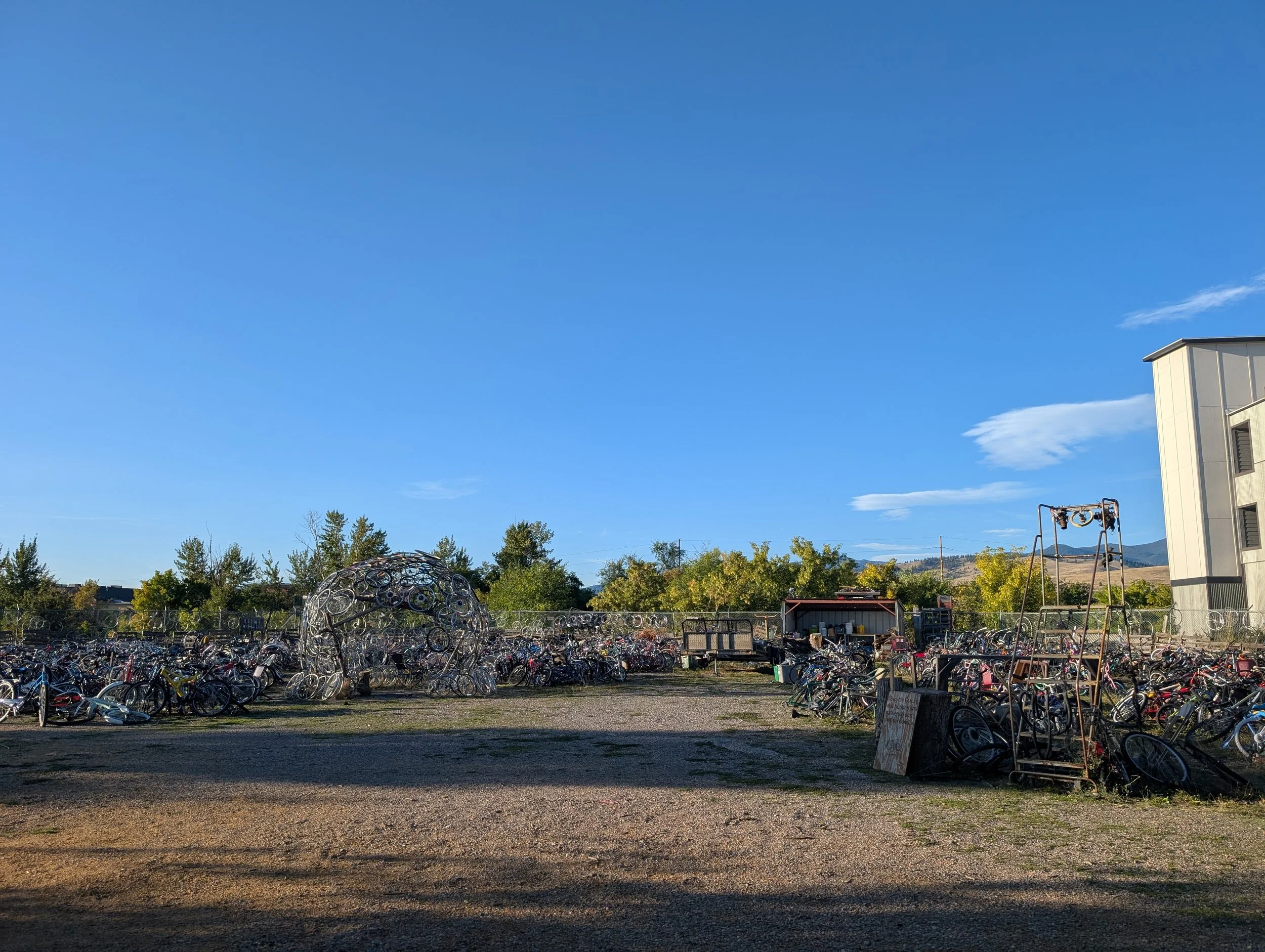 free cycles yard 1.jpg