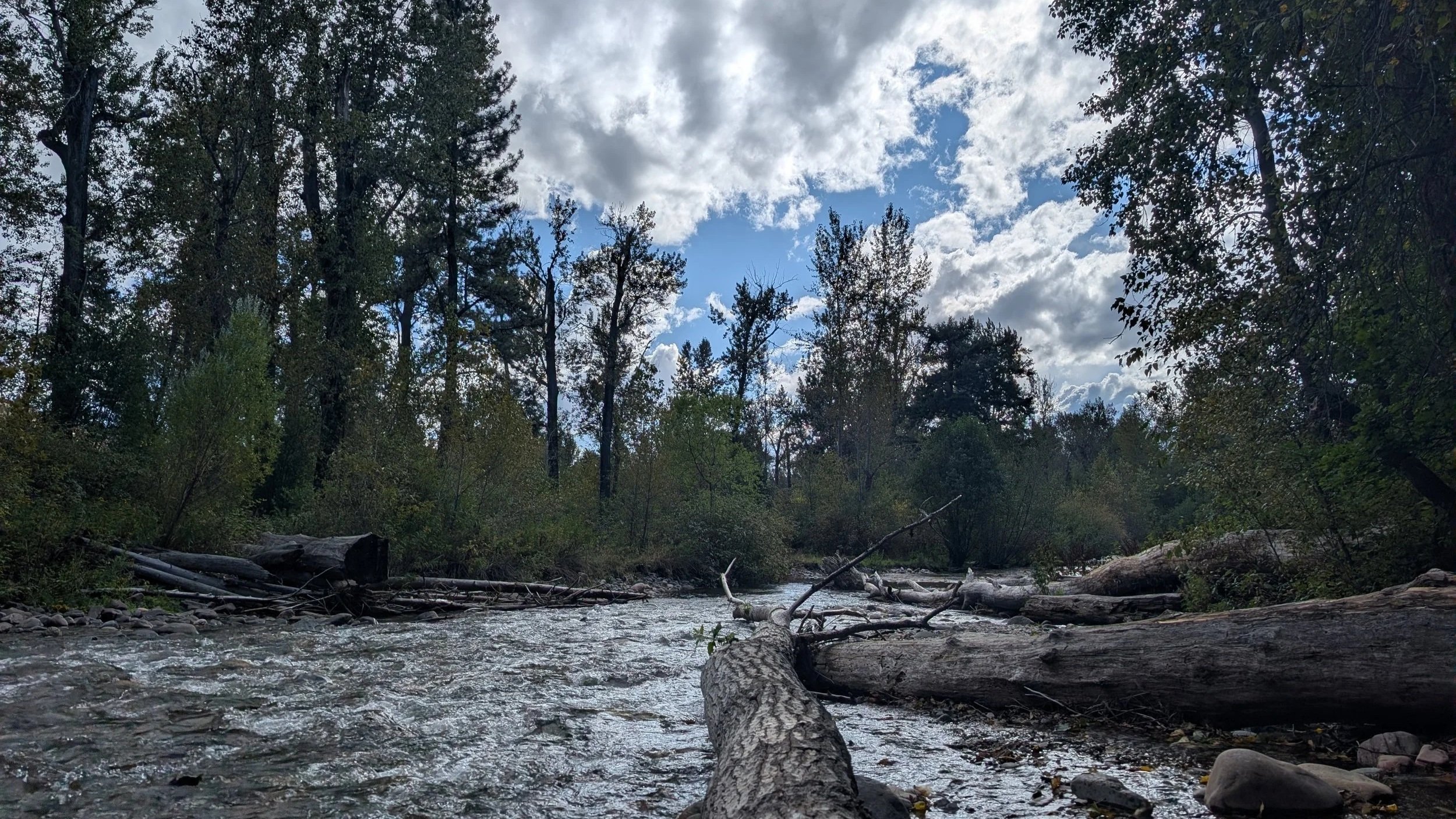 The Creek