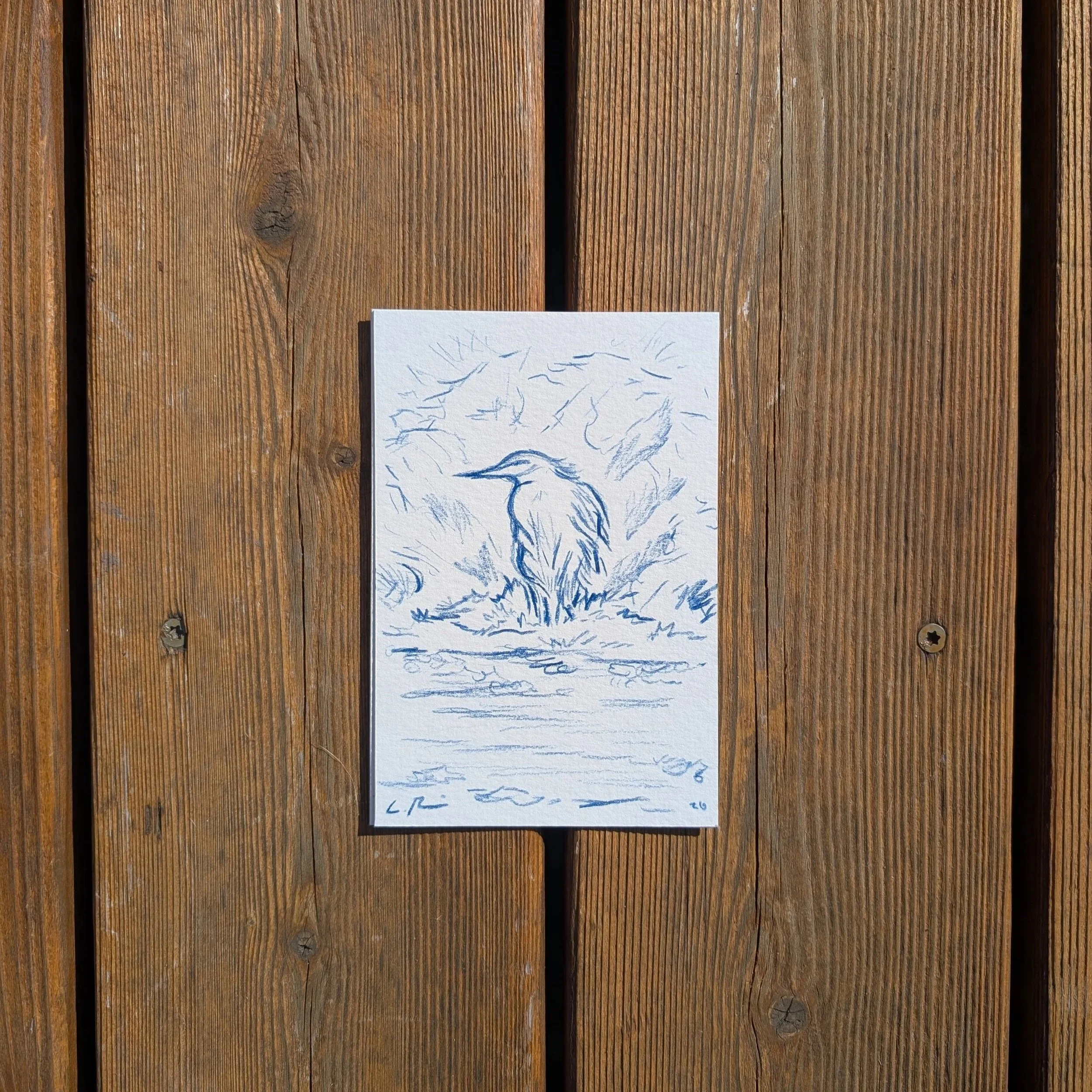 The Heron | Maclay Flats, MT