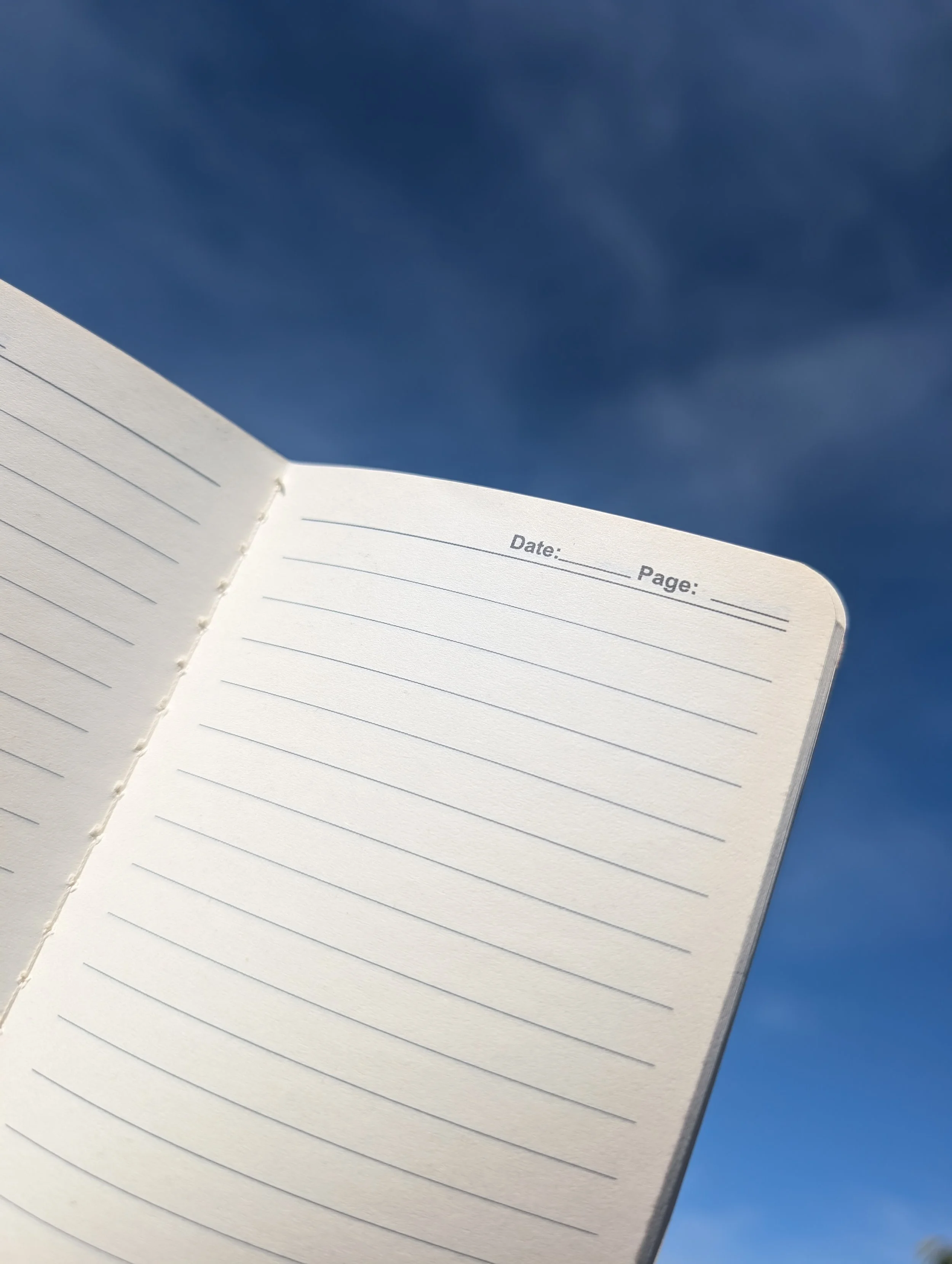 journal pages.jpg