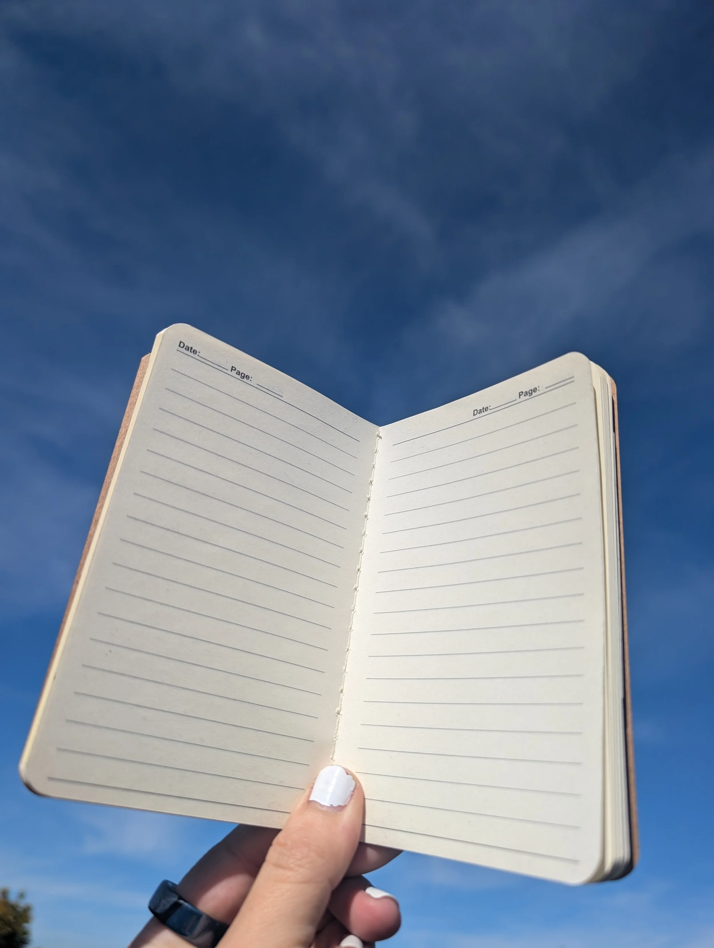 journal pages spread.jpg