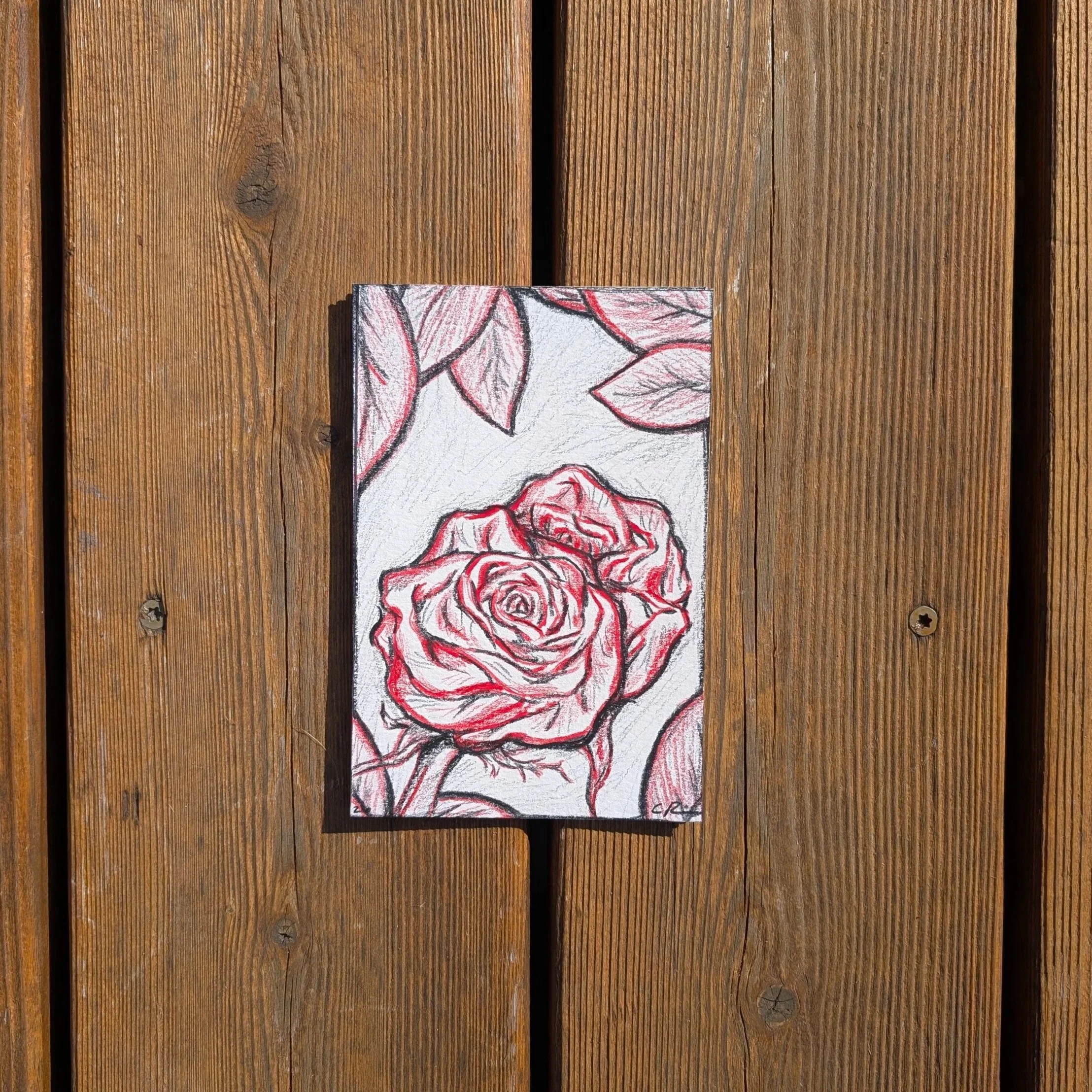 The Roses | Montana