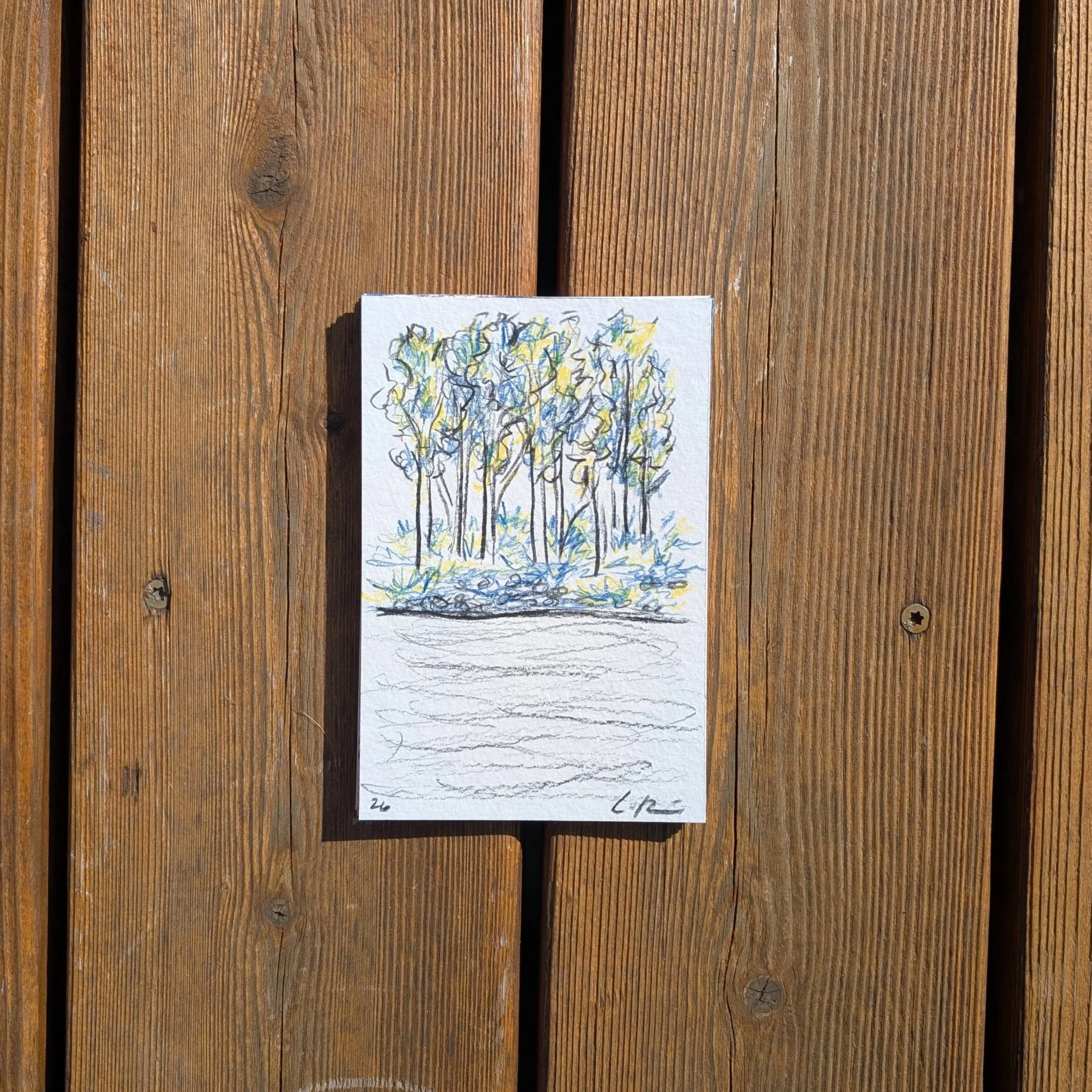 The Equinox | Kelly Island, Missoula, MT