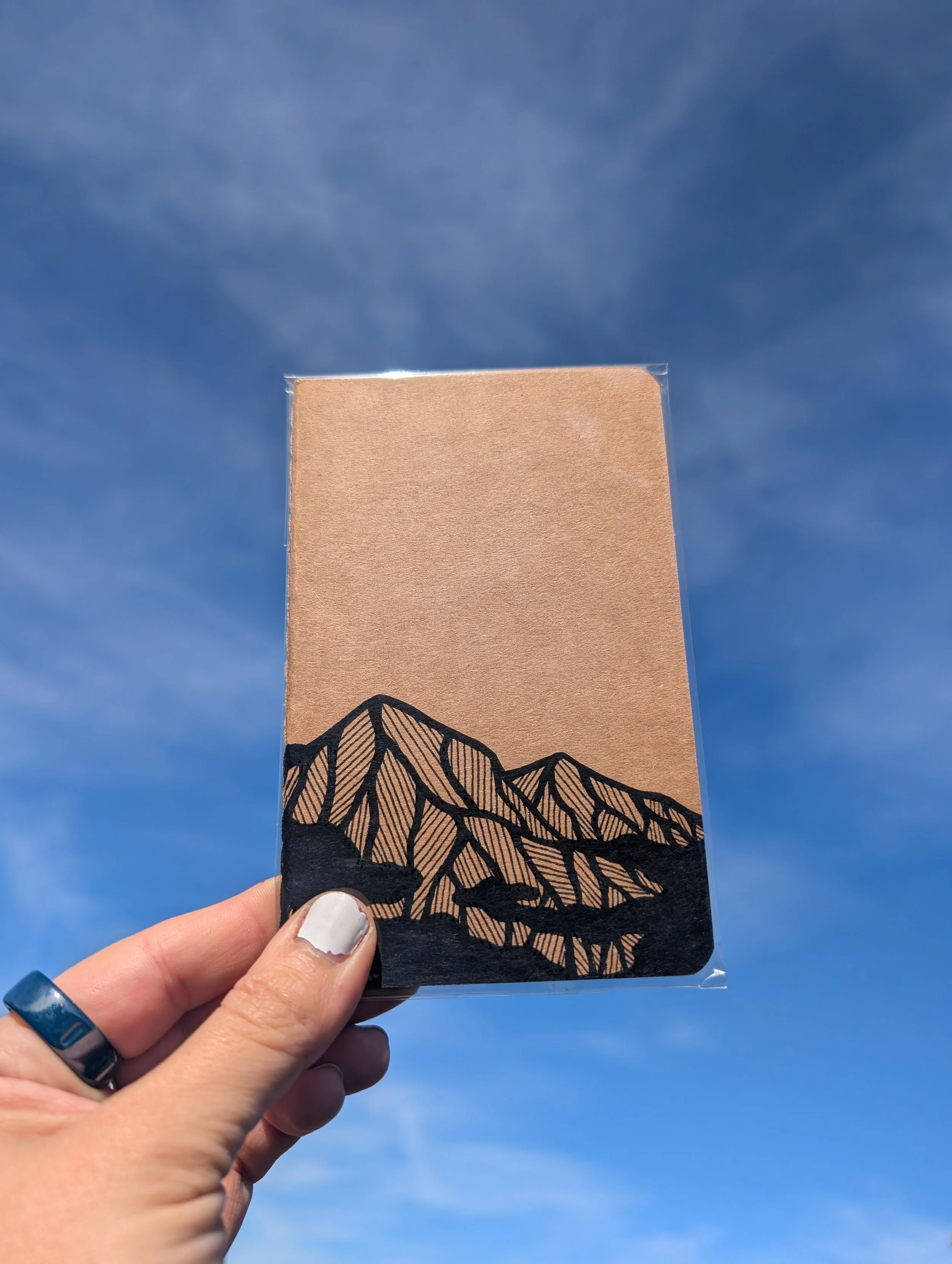 journal 14.jpg