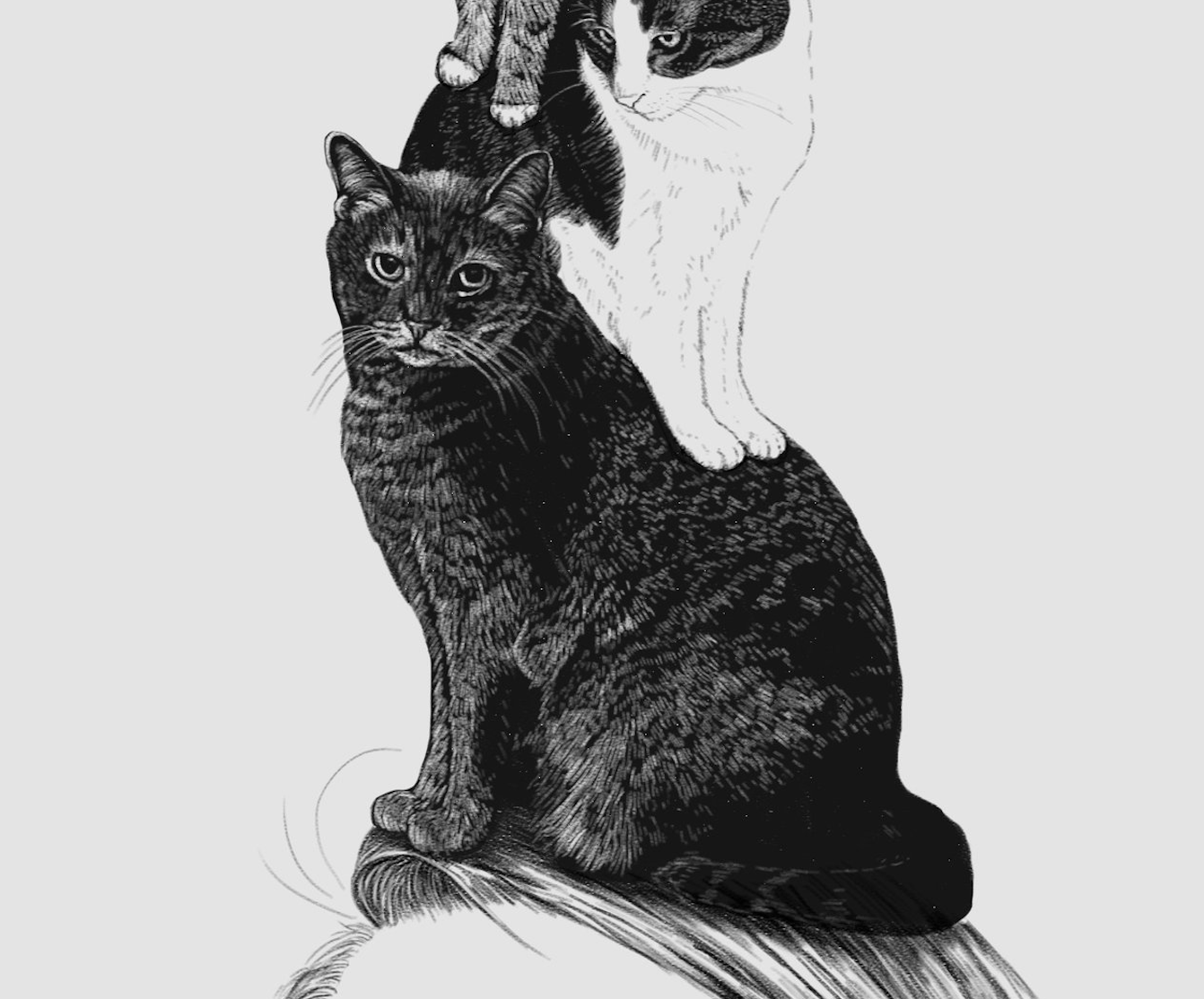 Screen Shot 2020-05-19 at 6.32.19 PM.png