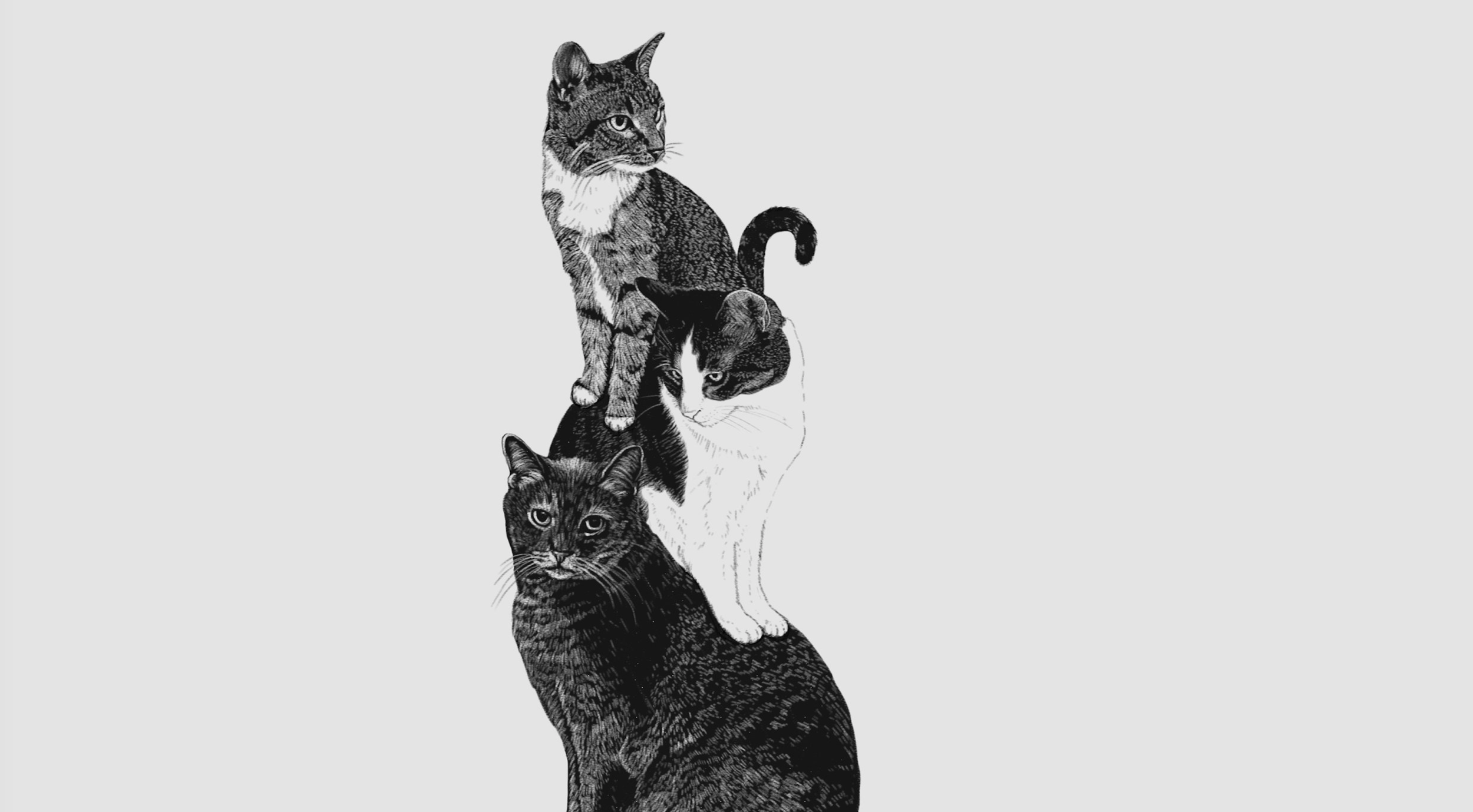 Screen Shot 2020-05-19 at 6.31.53 PM.png