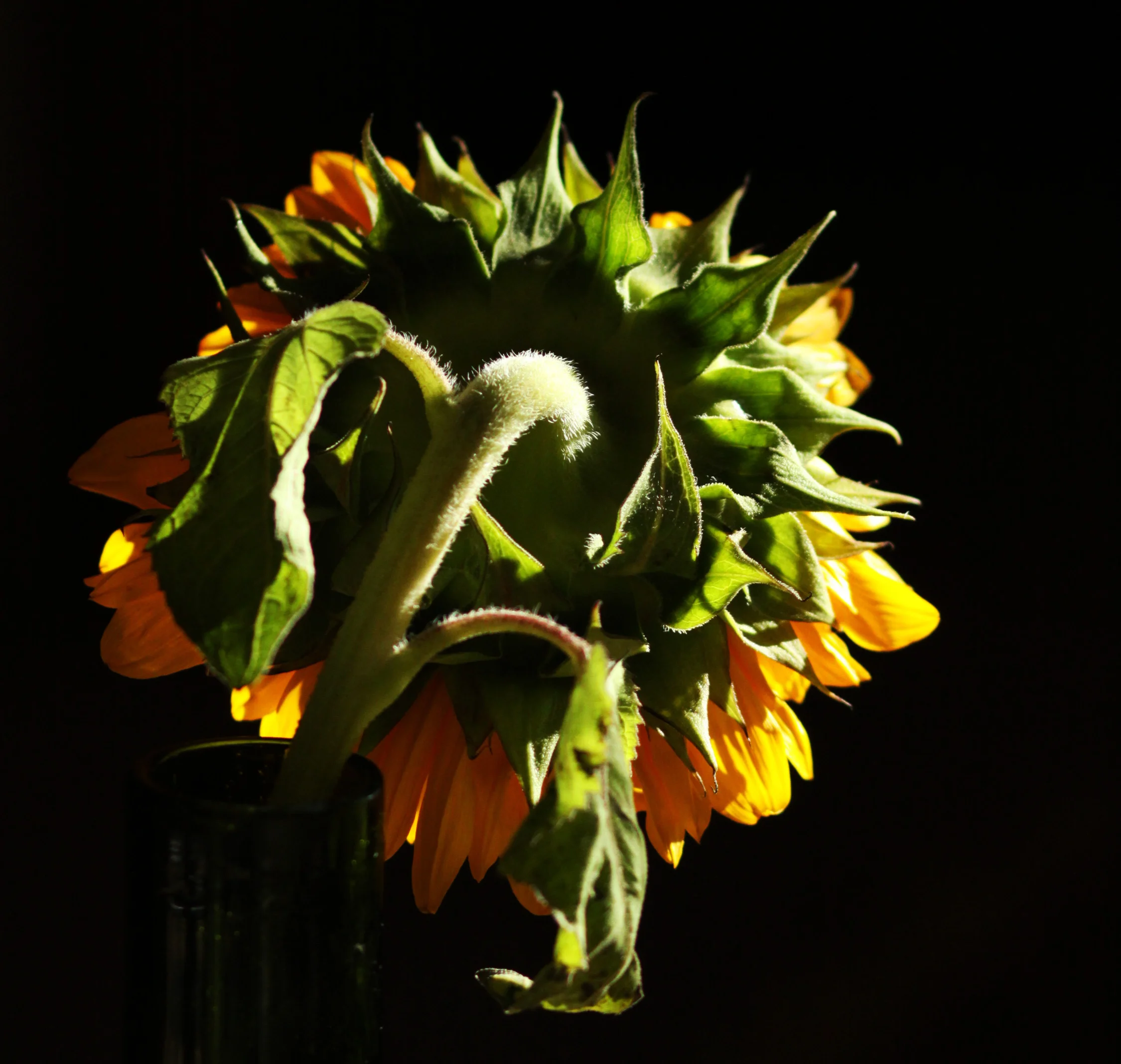 s_Aug2013 017-2.jpg