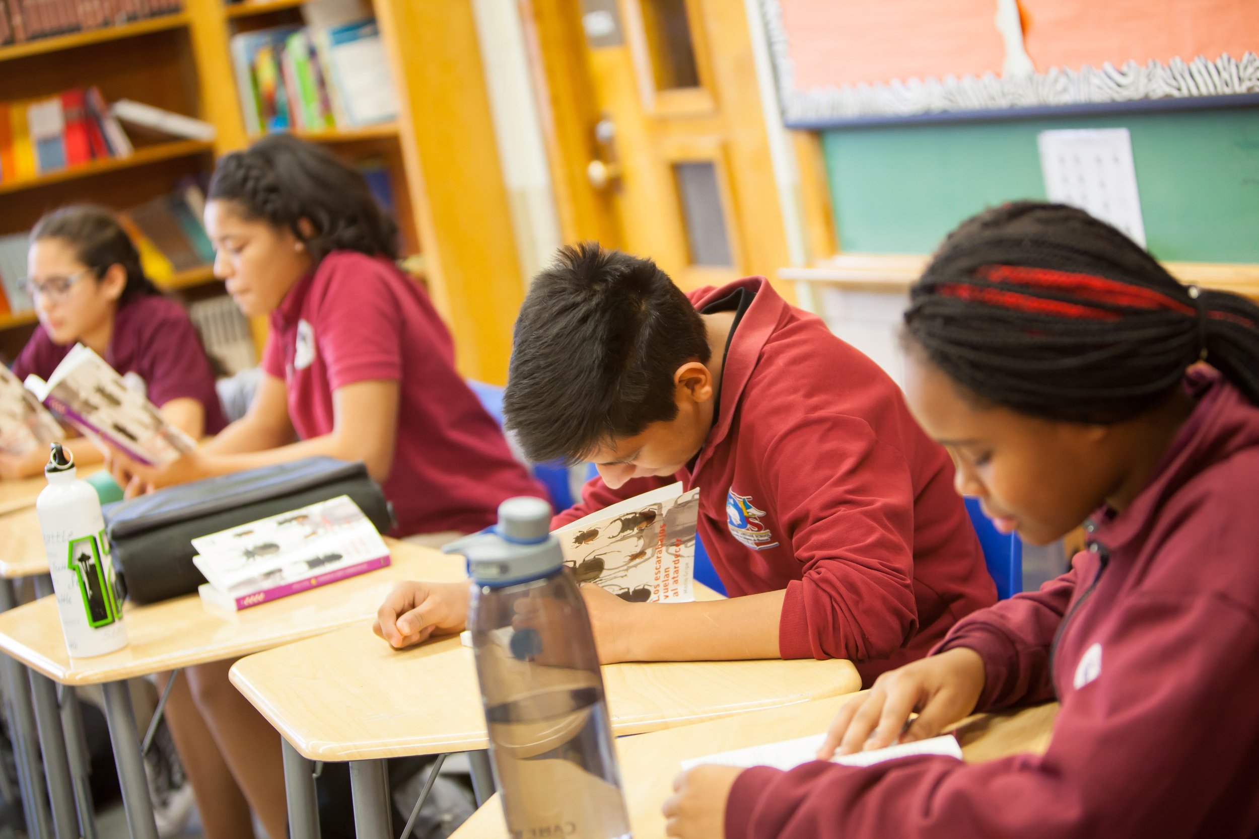 Language Immersion School Denver Language School