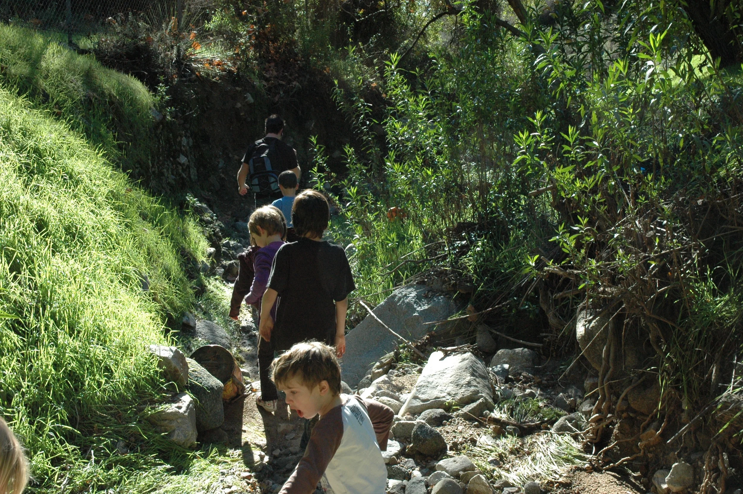 trails to be explored,
