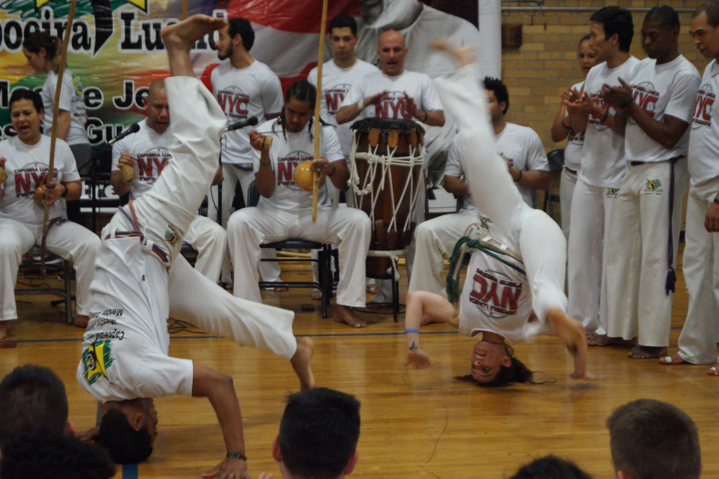 Coruja Au come Cabeca no Chao.JPG