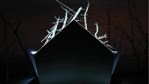 Jonathan Ehrenberg (A ’11), Monument , 2010