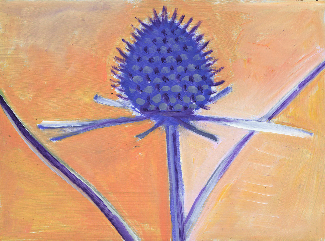 Sea Holly Blossom