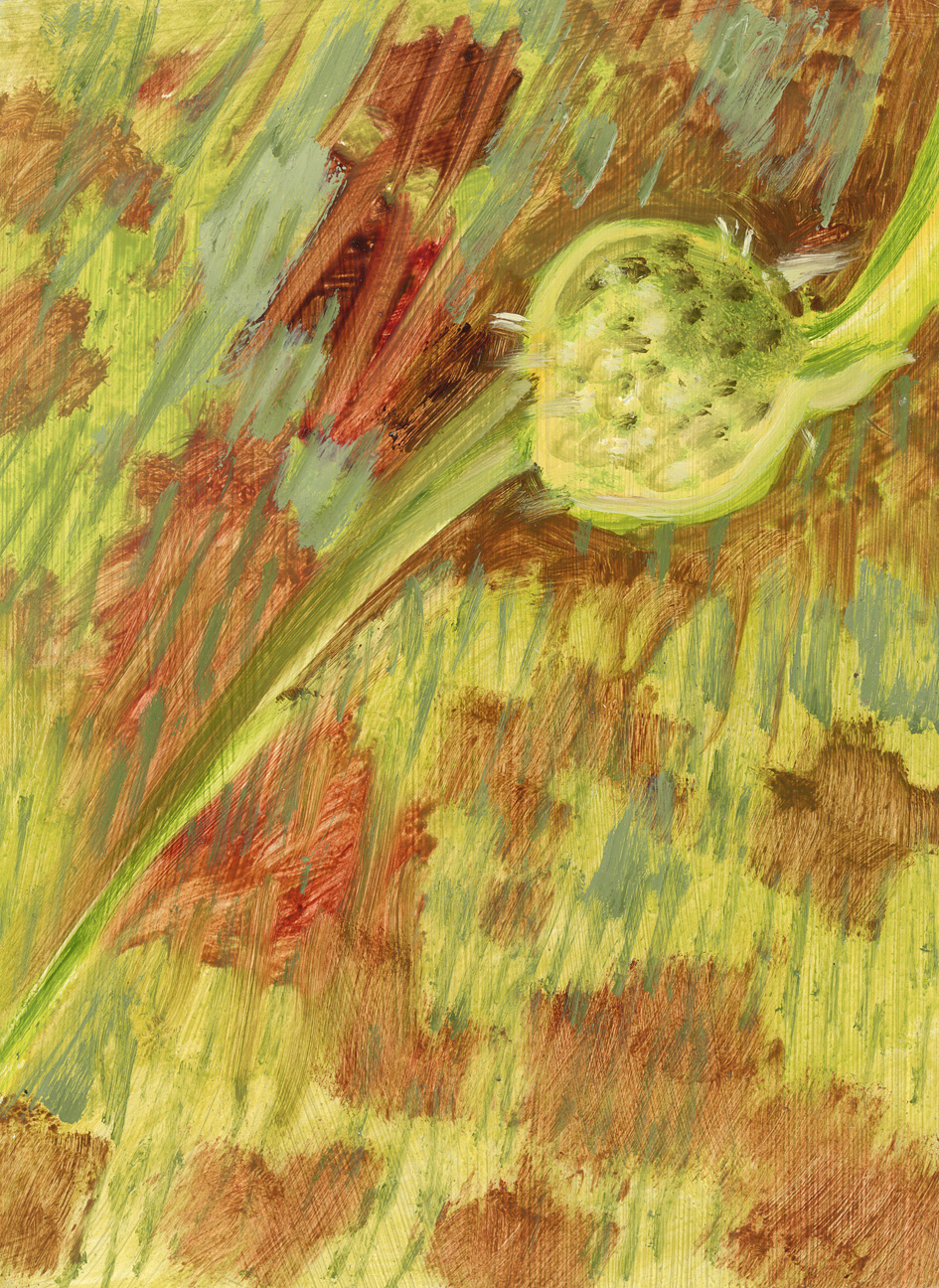 Green Seedhead