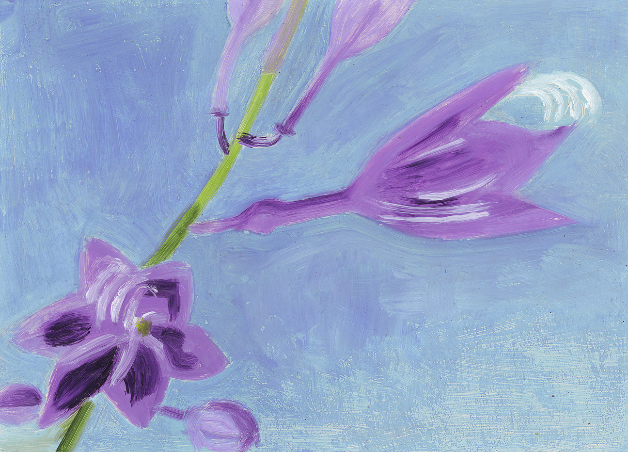 Hosta Flower