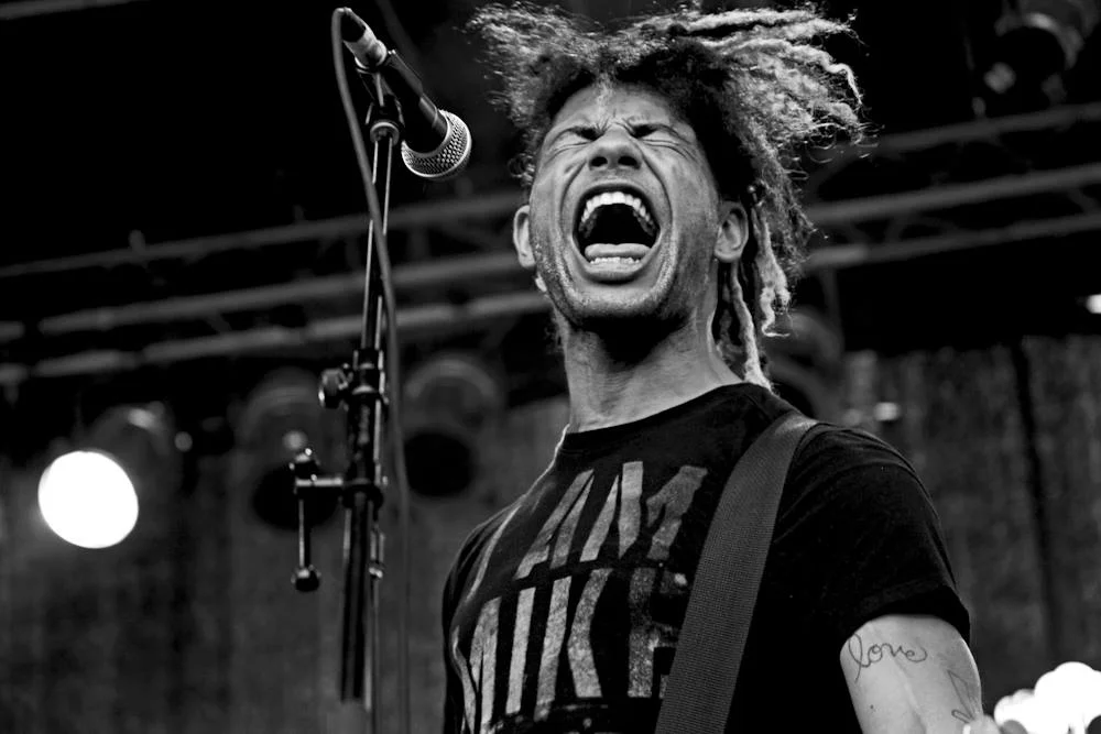 AFROPUNKFEST2014-37-MEL-D.-COLE.jpg