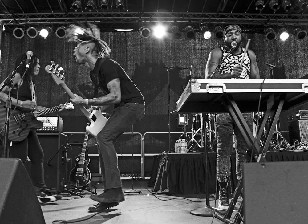 AFROPUNKFEST2014-41-MEL-D.-COLE.jpg