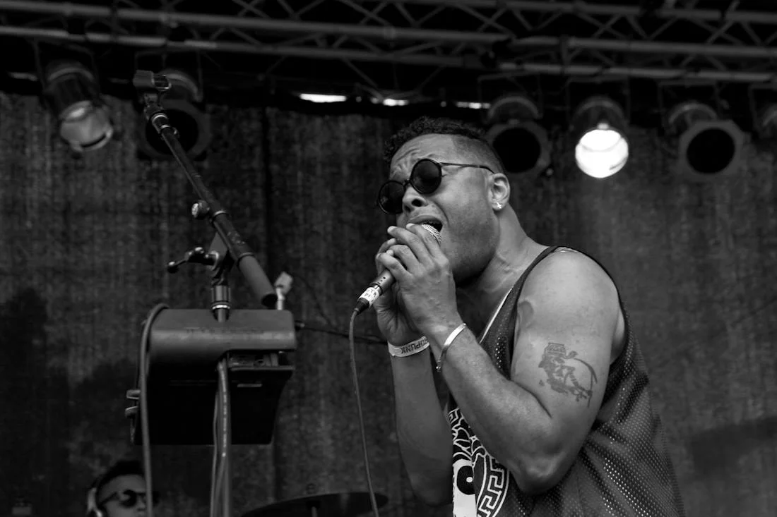 AFROPUNKFEST2014-54-MEL-D.-COLE.jpg