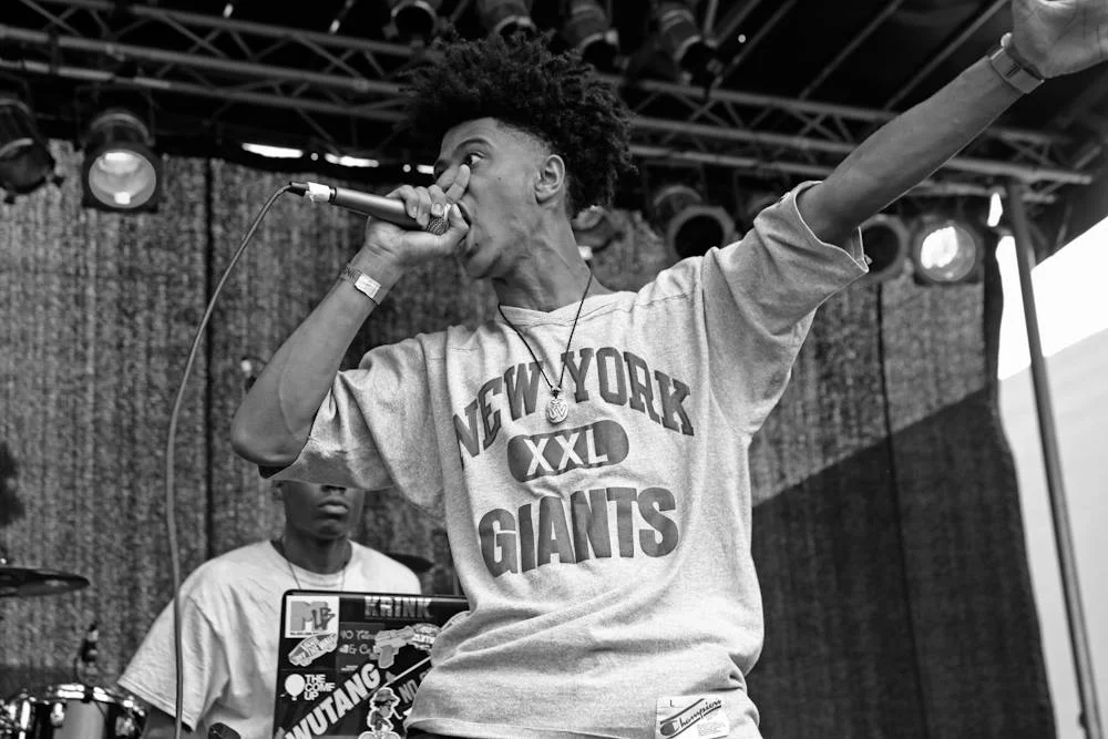 AFROPUNKFEST2014-7-MEL-D.-COLE.jpg