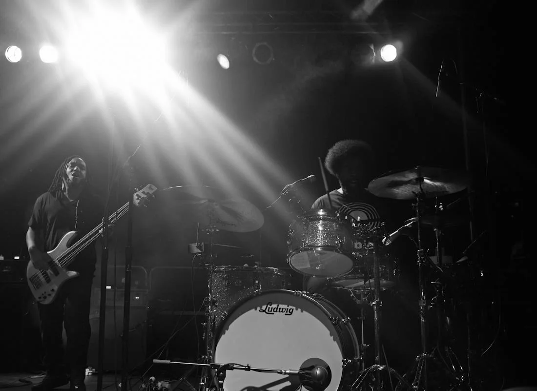 AFROPUNKFEST2014-82-MEL-D.-COLE.jpg