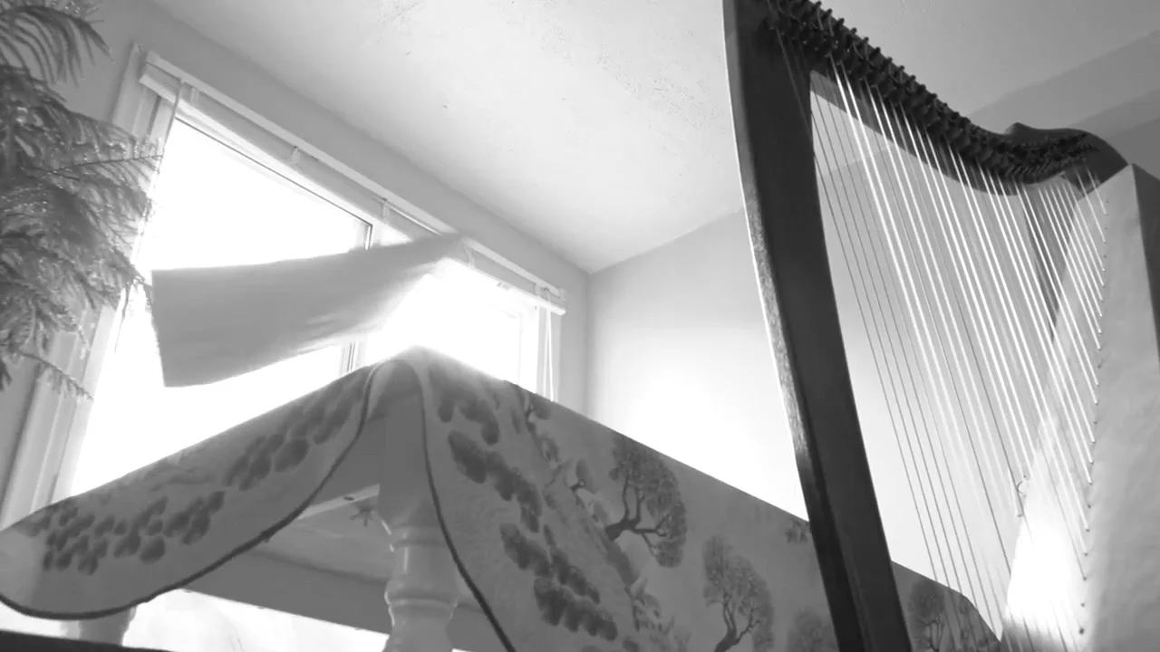 The Harpist Cover.jpg