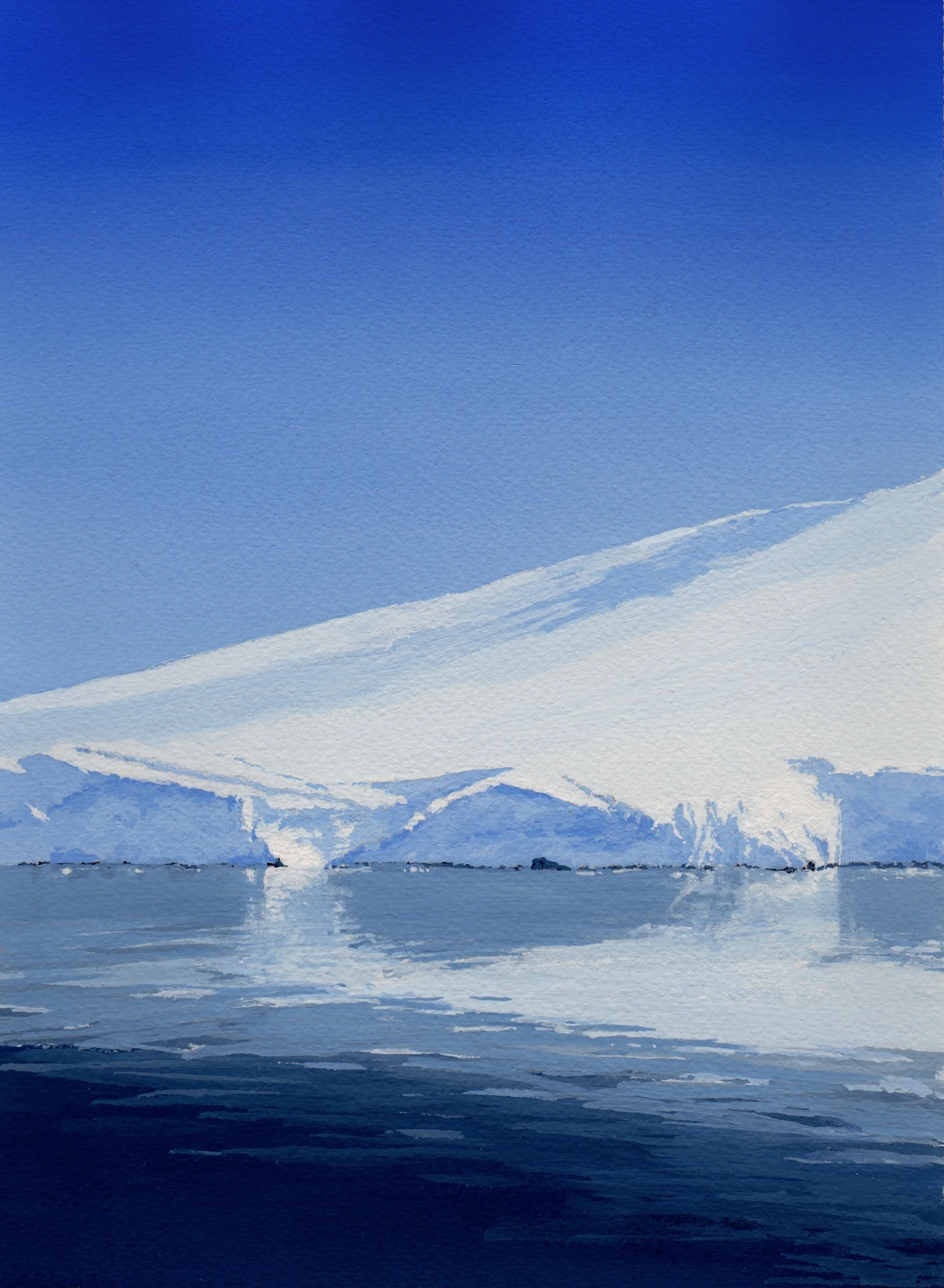 Iceberg