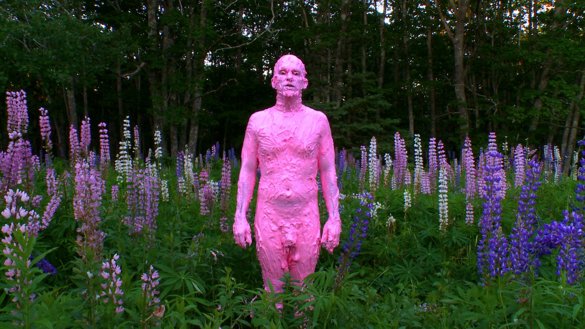 This Pink Mud