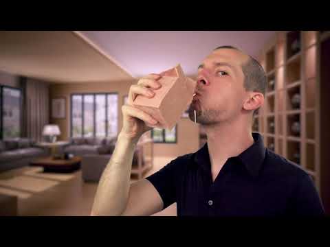 Spot 652 Carton
