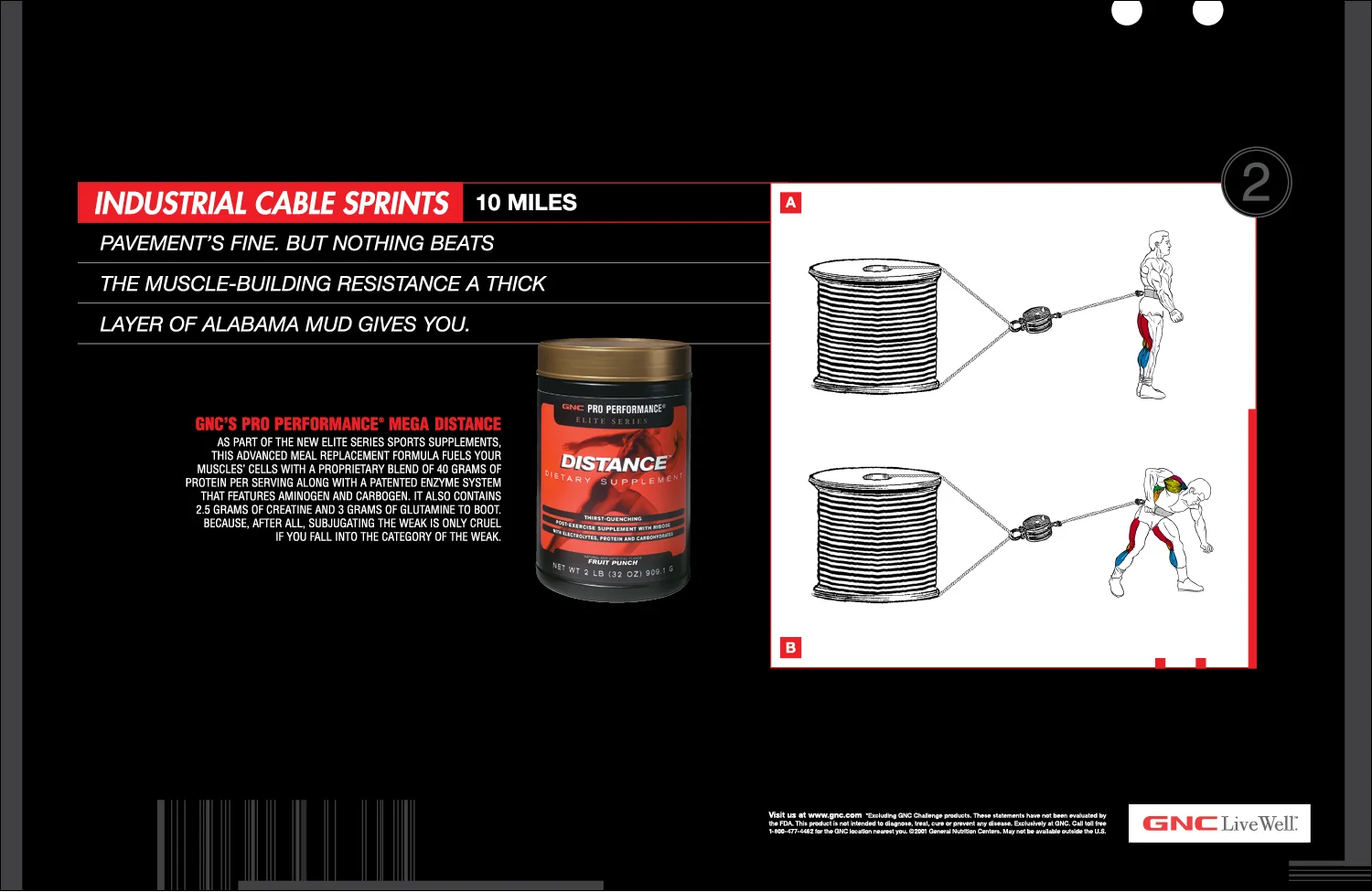 SPREADS 10x6-5_GNC 06.jpg