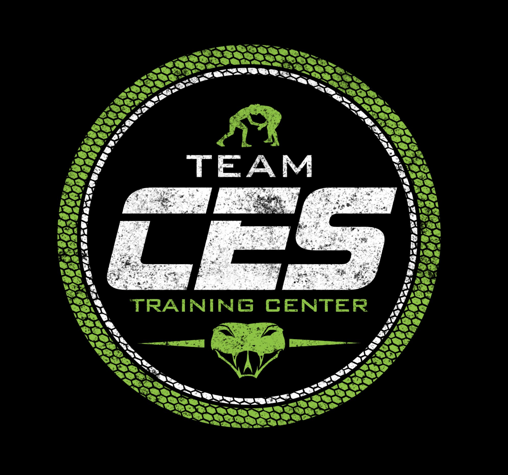 COMPRESSED - TEAM CES - Circle Logo.png