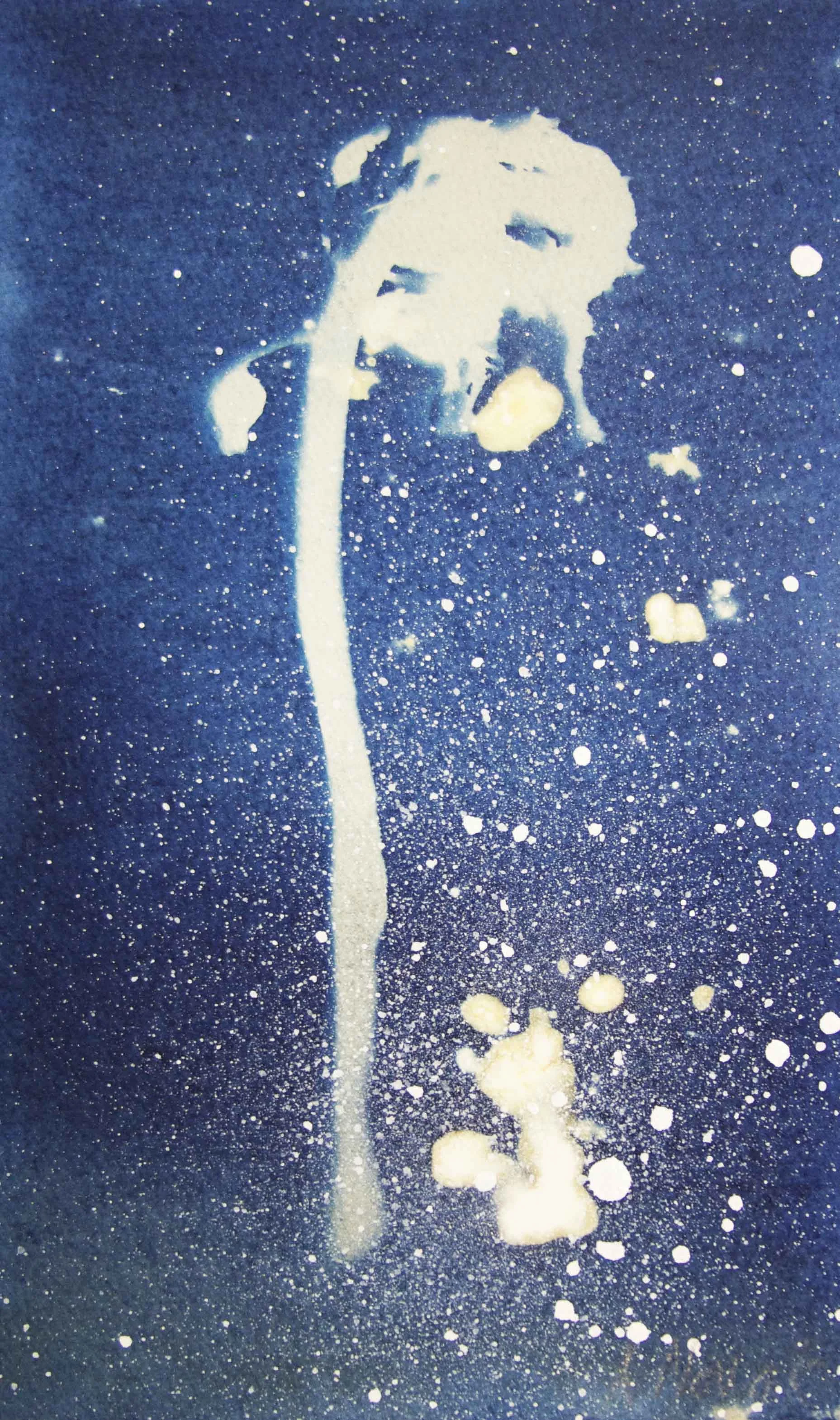 17x11.jpg