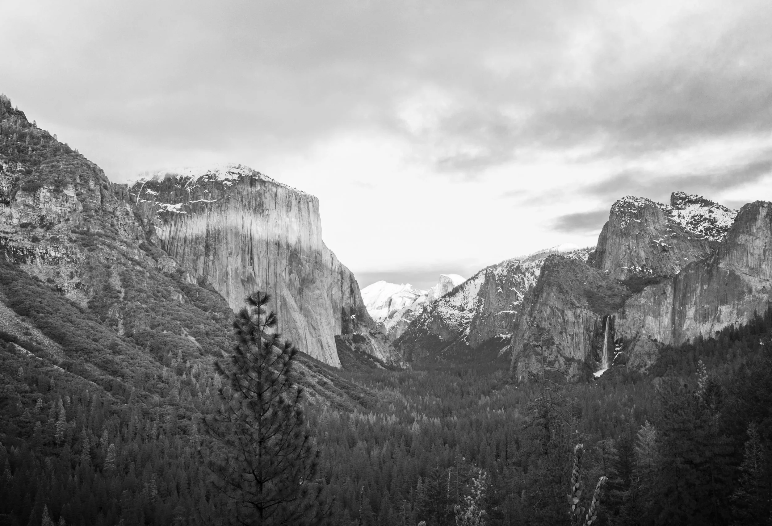 Putting the Conservation Back In Conservative: Part I