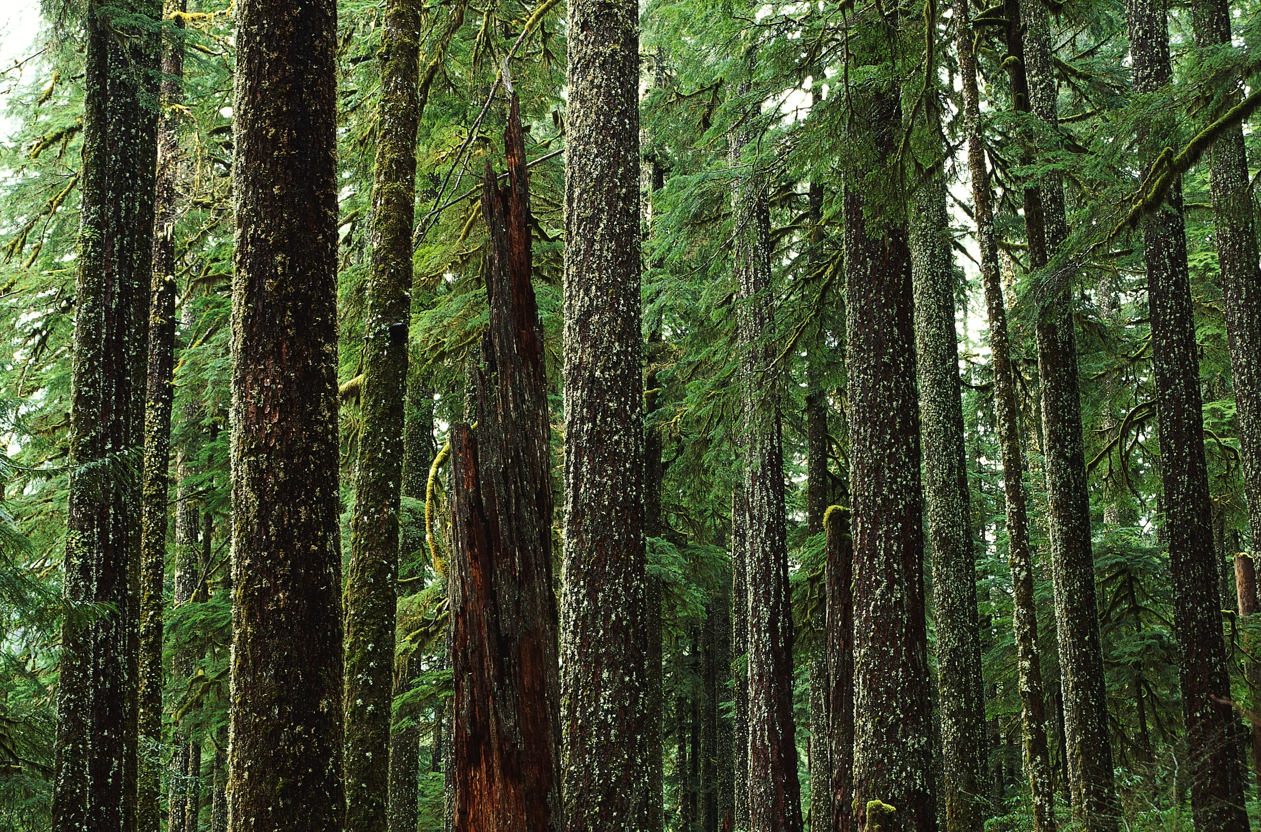 Signs Of Greener Times