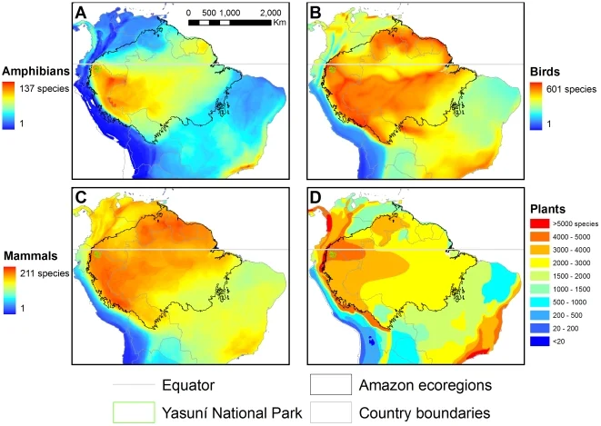 Heat maps show the immense biodiversity of mammals, amphibians, birds, and plants in Yasuní National Park, Ecuador. Warm colors represent high levels of biodiversity. Source: (Bass, 2010)