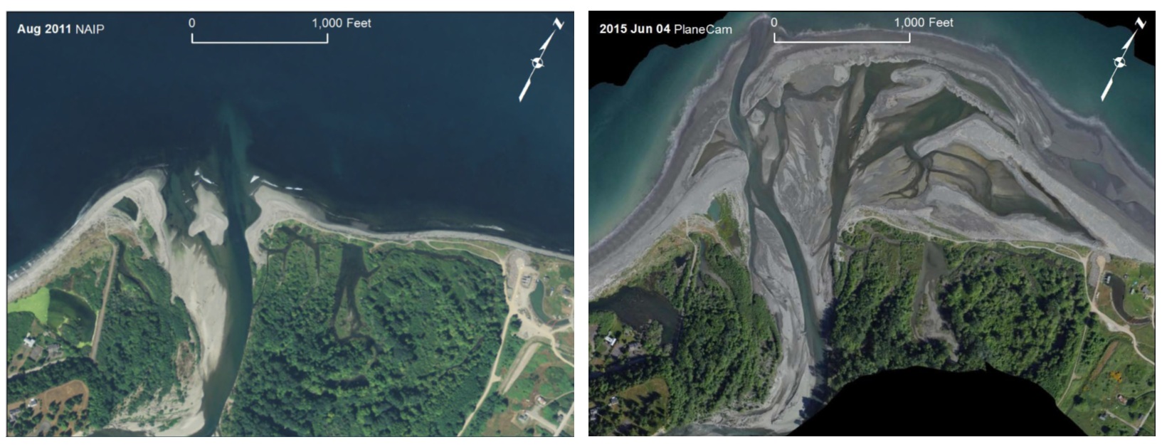 Right: Washington state’s Elwha river delta pictured in 2011 at the beginning of a large scale dam removal project. Left: The Elwha delta in 2015 roughly 4 years after the dam removal project began. Image: psmfc.org.