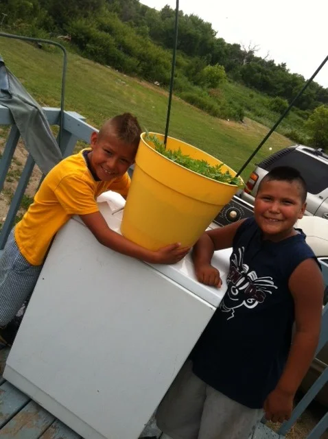 Shaun and Anthony with their tomatoes!