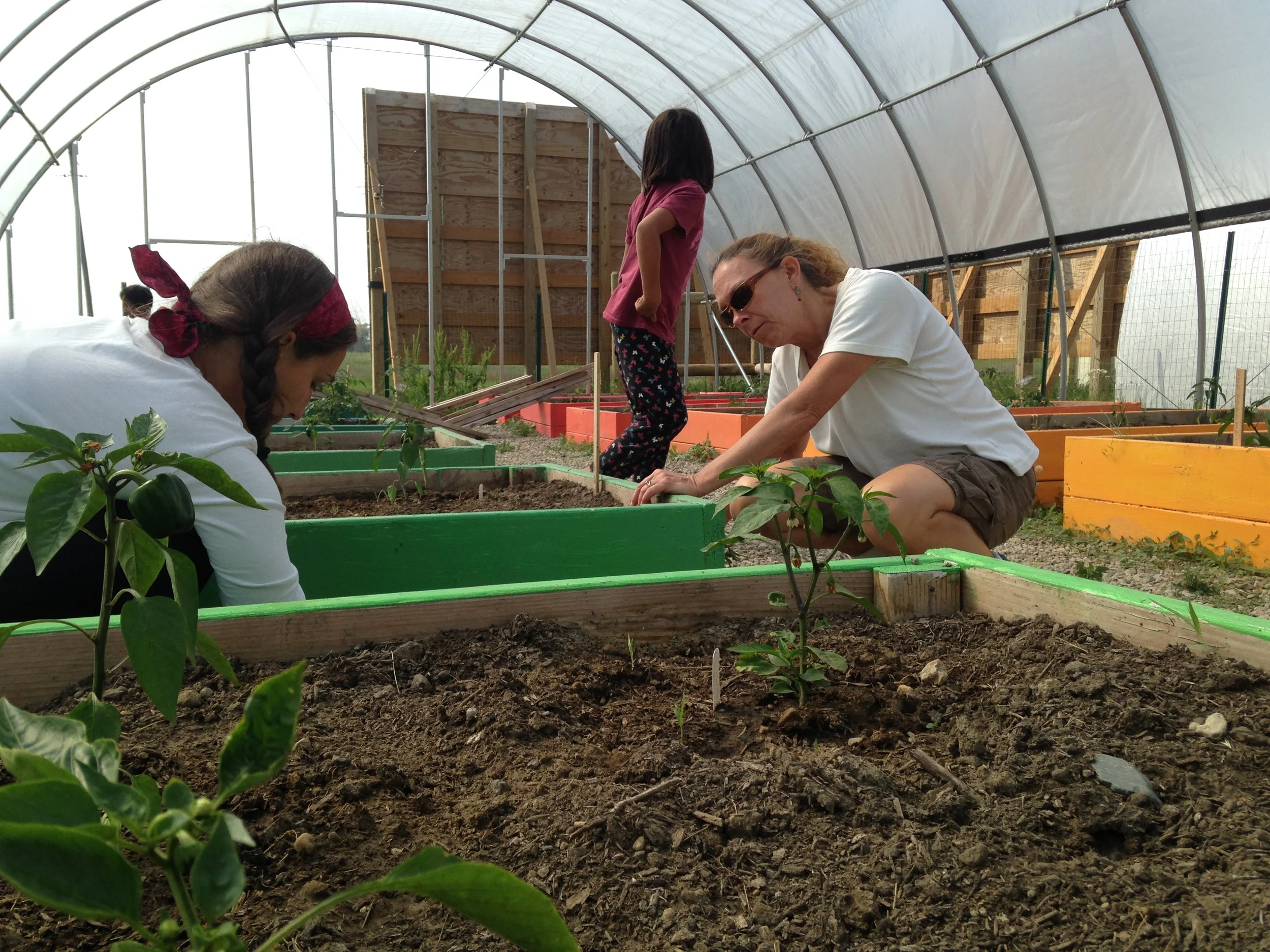 Fun with the kids in the garden! (A.Gross, La Plant, July 2015)