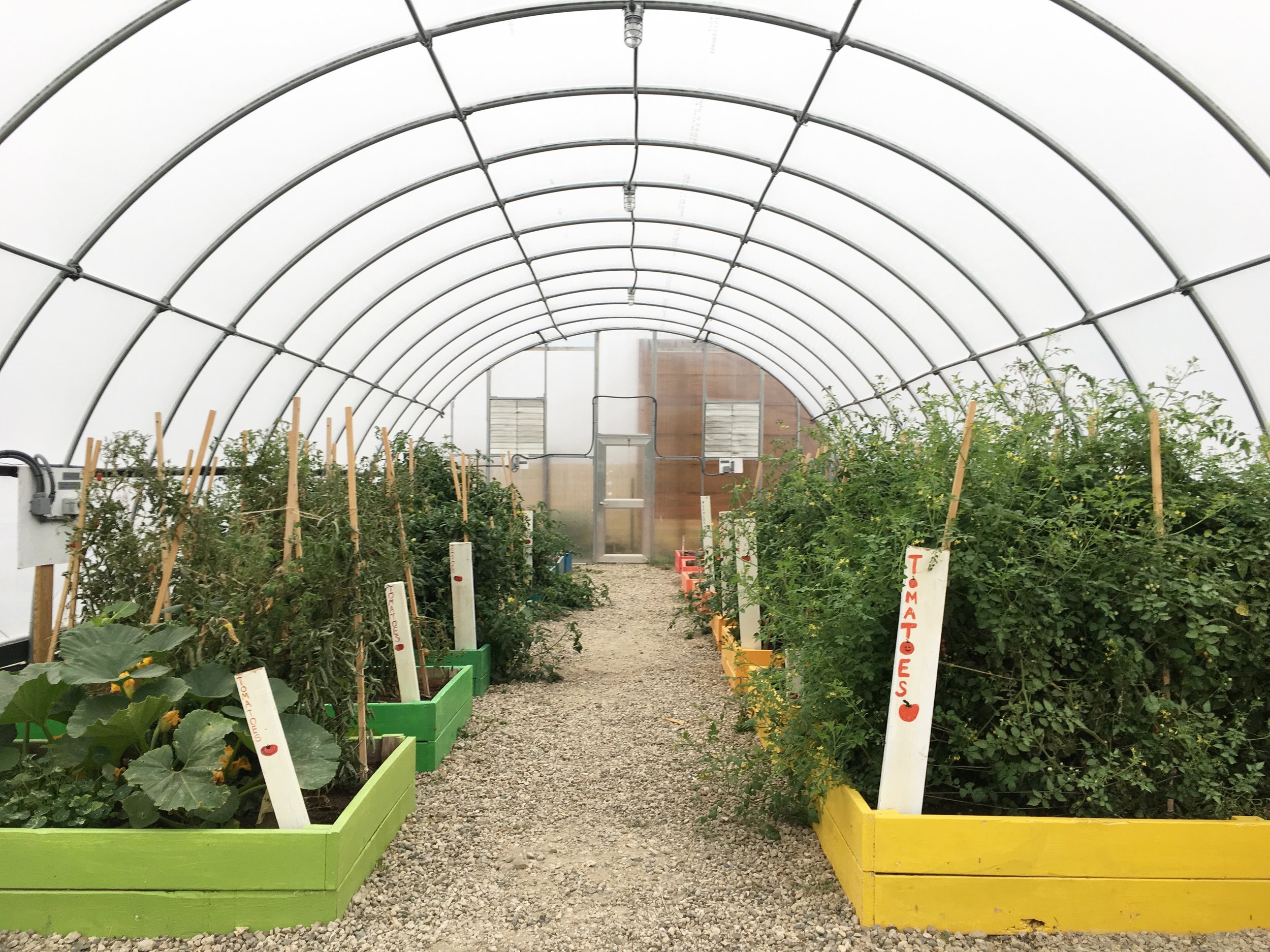 The greenhouse, full of life, in November!