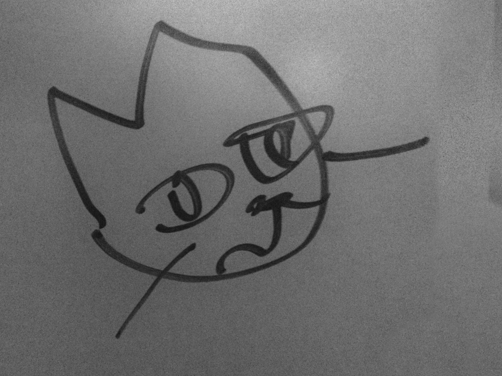 Cat drawing new.png