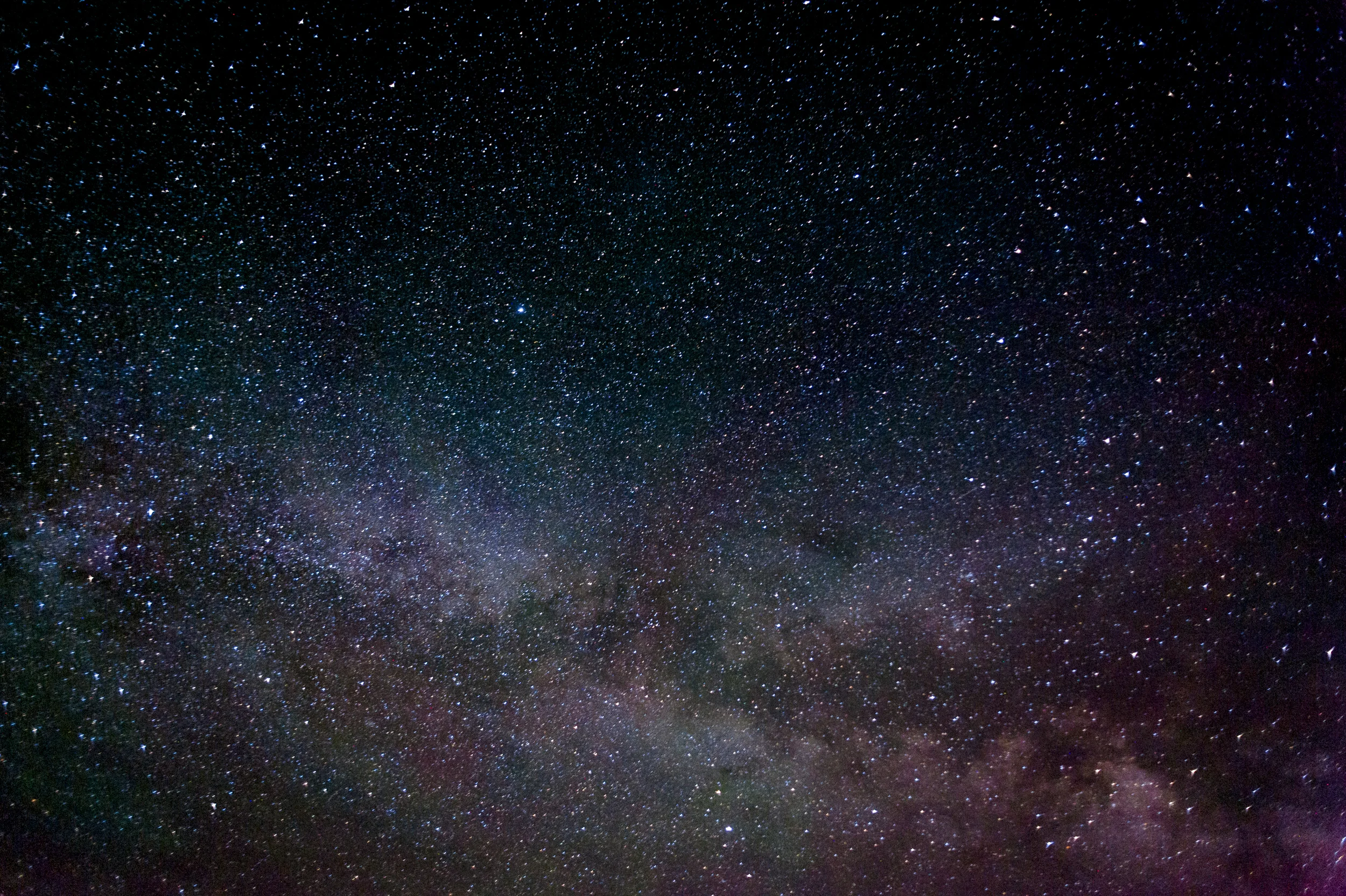 DSC_8504.jpg