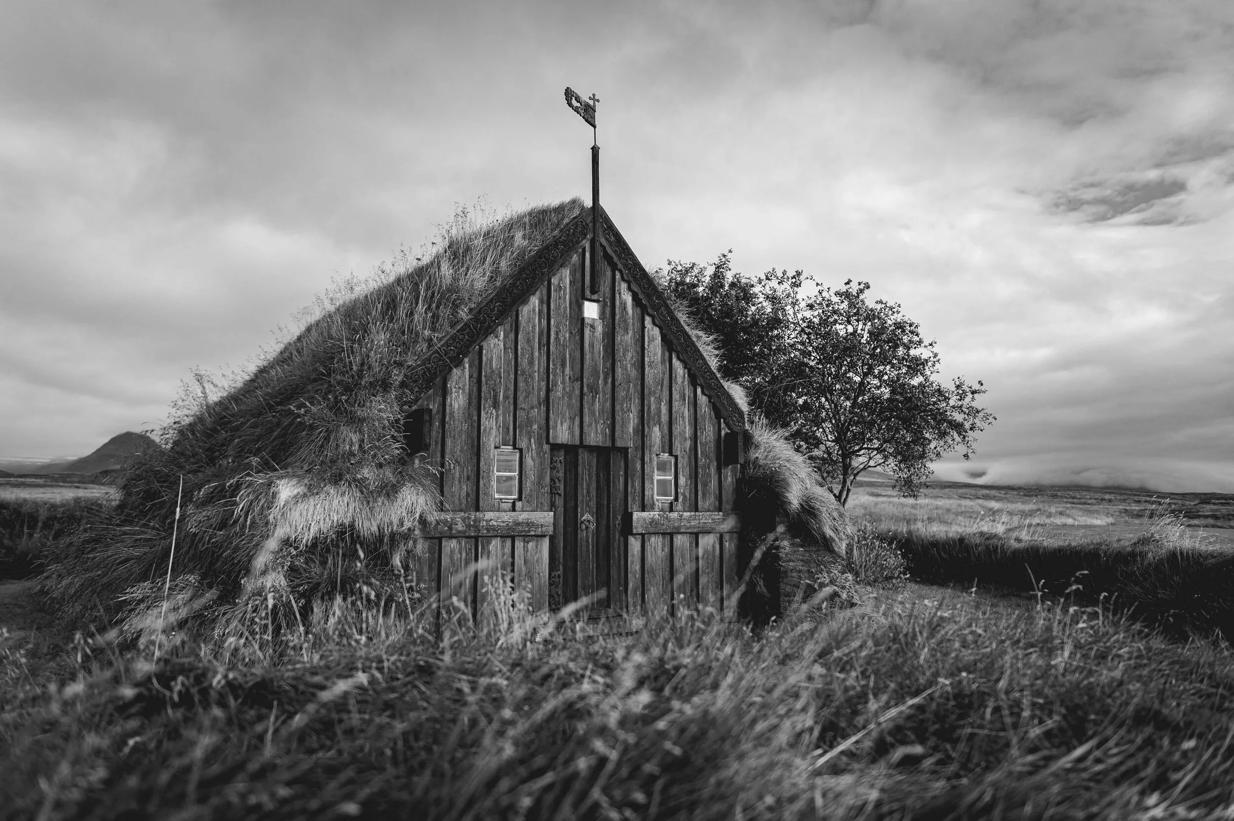 untitled-1597.jpg