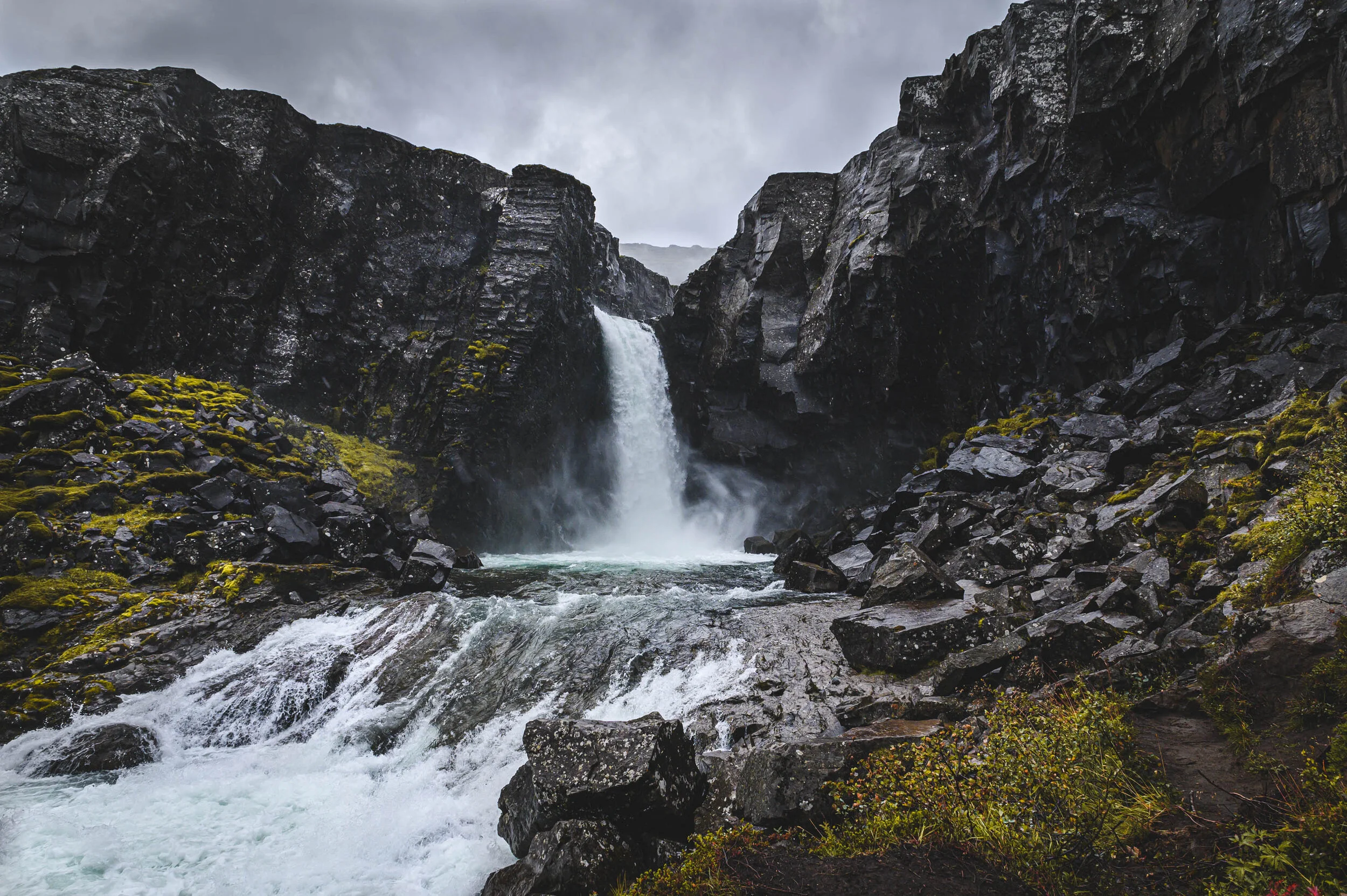 untitled-1125-2 copy.jpg