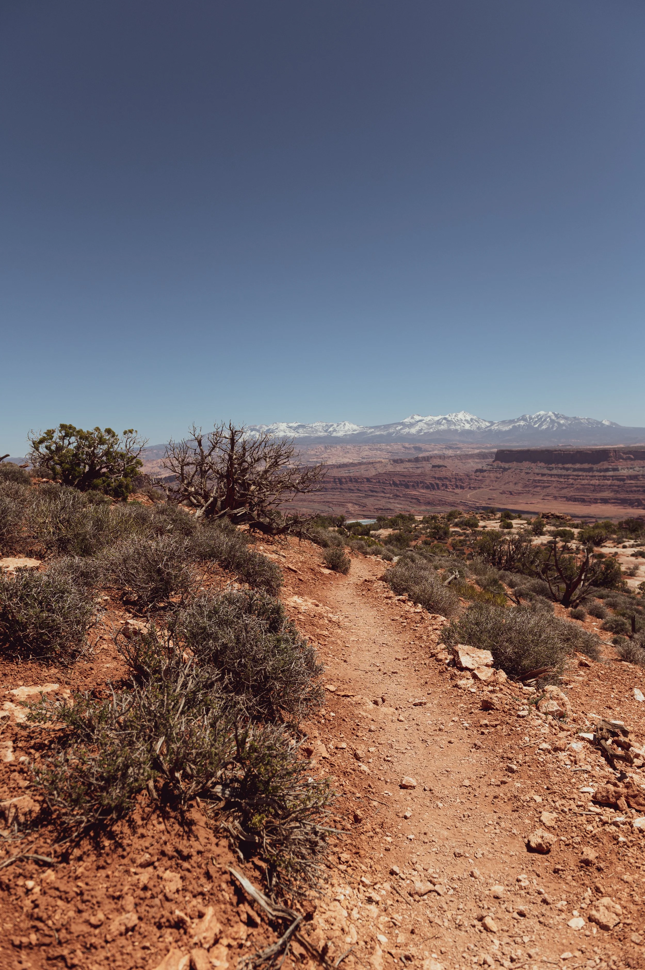 DSC_9305.jpg